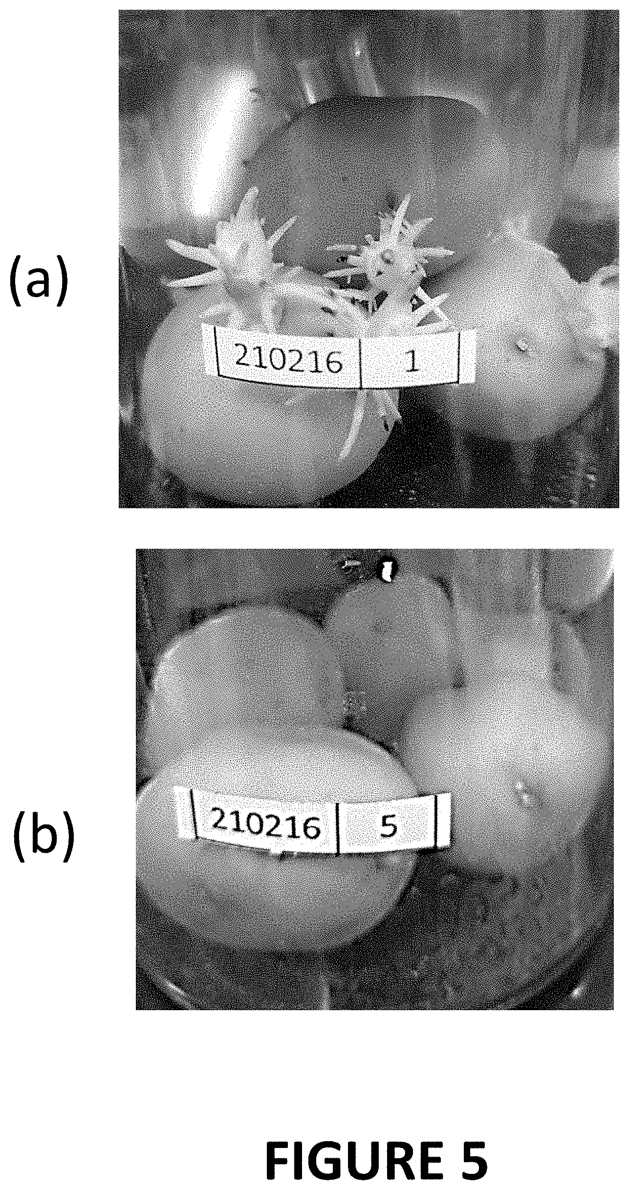 Patent US11793220 Figure 5 – Materials and methods for extending shelf-life of foods