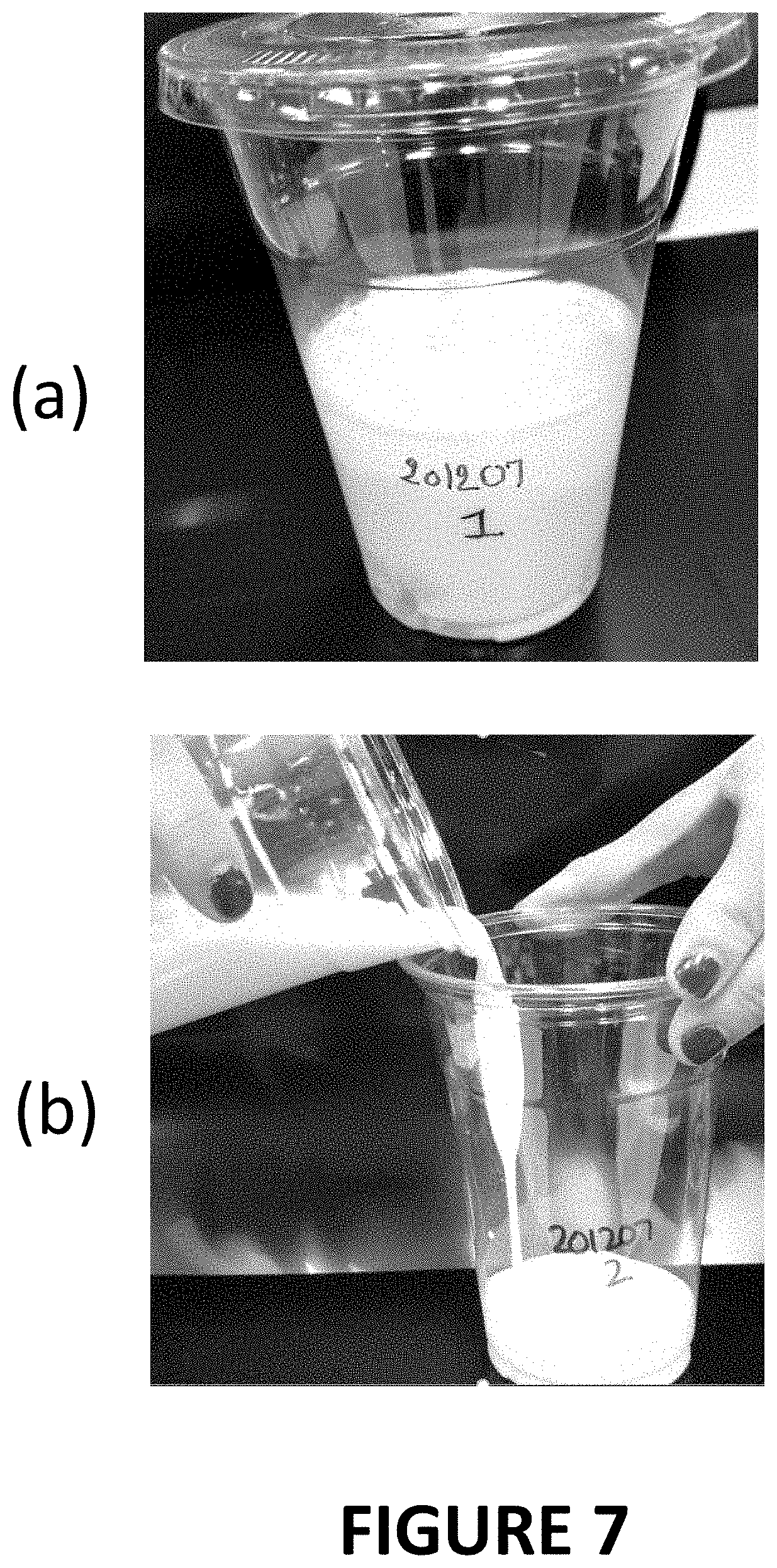 Patent US11793220 Figure 7 – Materials and methods for extending shelf-life of foods