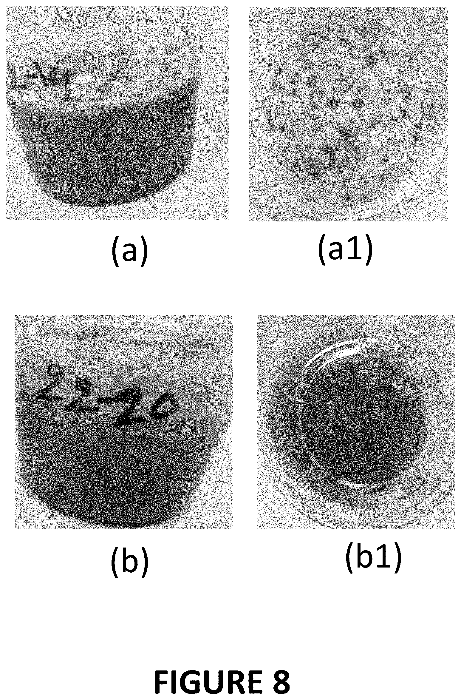 Patent US11793220 Figure 8 – Materials and methods for extending shelf-life of foods