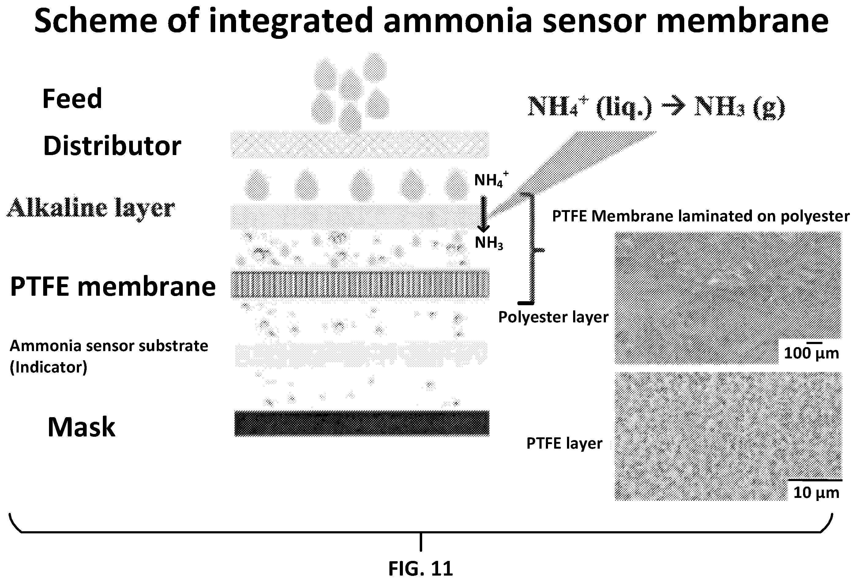 Patent US11793431 Figure 13 – Systems and methods for the detection and quantification of ammonia and ammonium in fluids