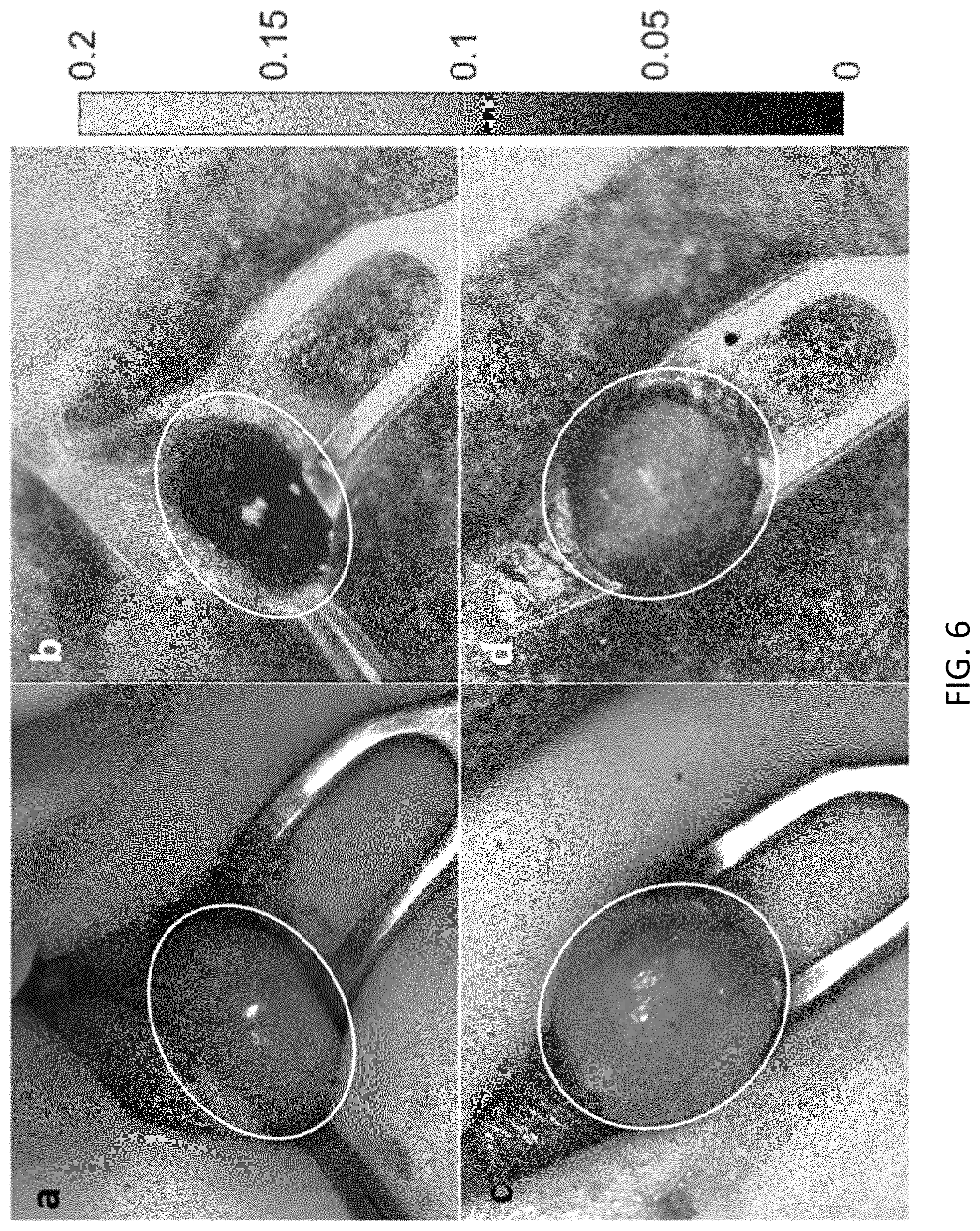 Patent US11793450 Figure 6 – Methods and apparatus for intraoperative assessment of parathyroid gland vascularity using laser speckle contrast imaging and applications of same