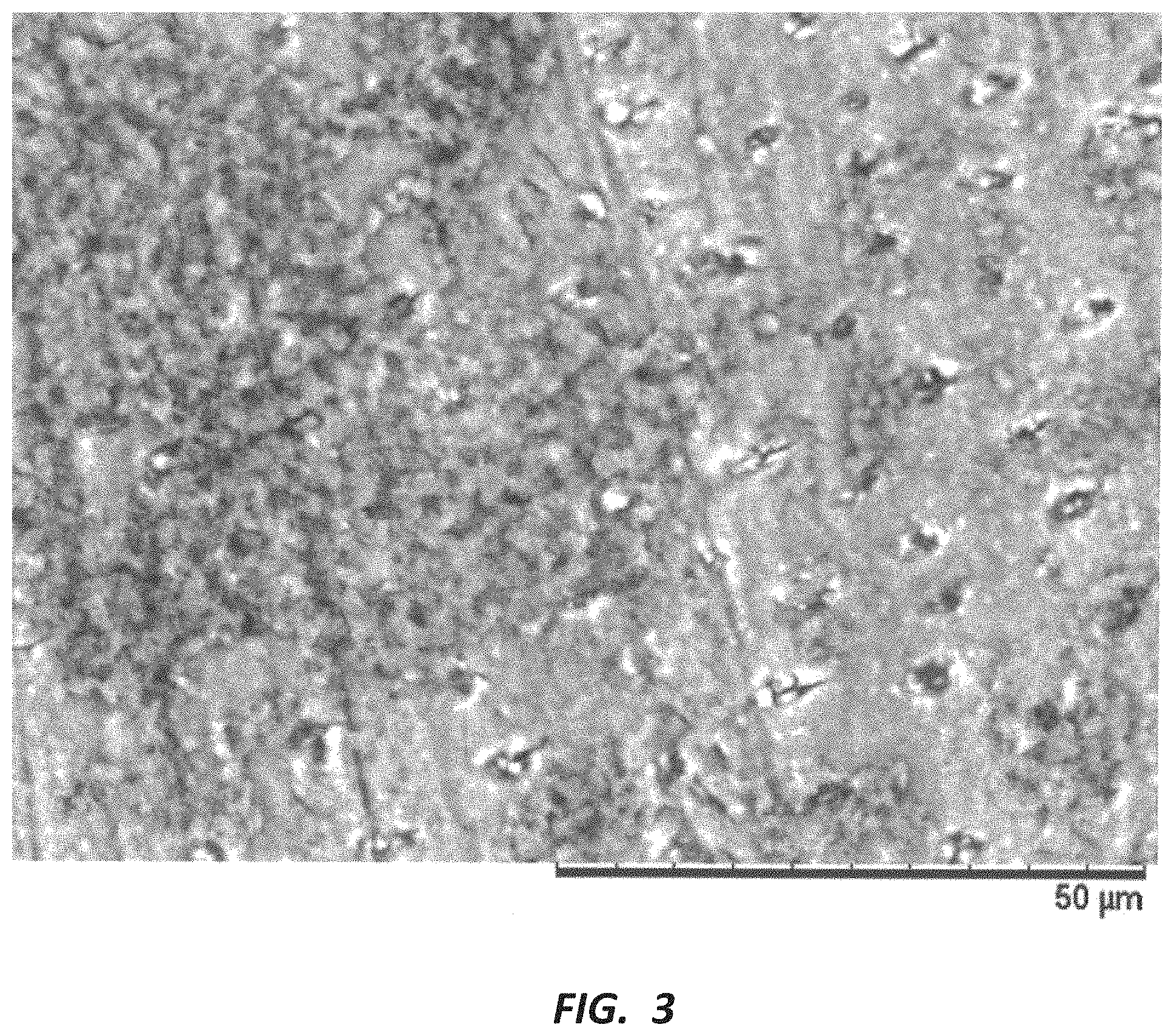 Patent US11793602 Figure 3 – Dental compositions and related methods of use