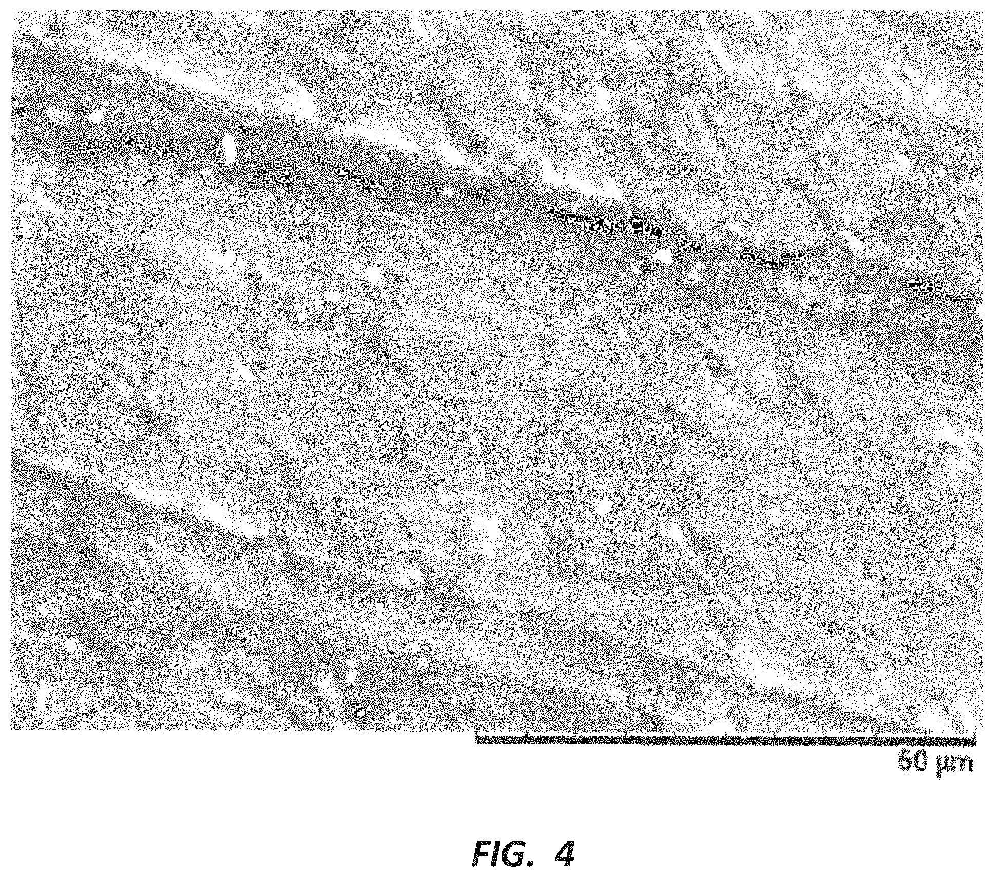Patent US11793602 Figure 4 – Dental compositions and related methods of use