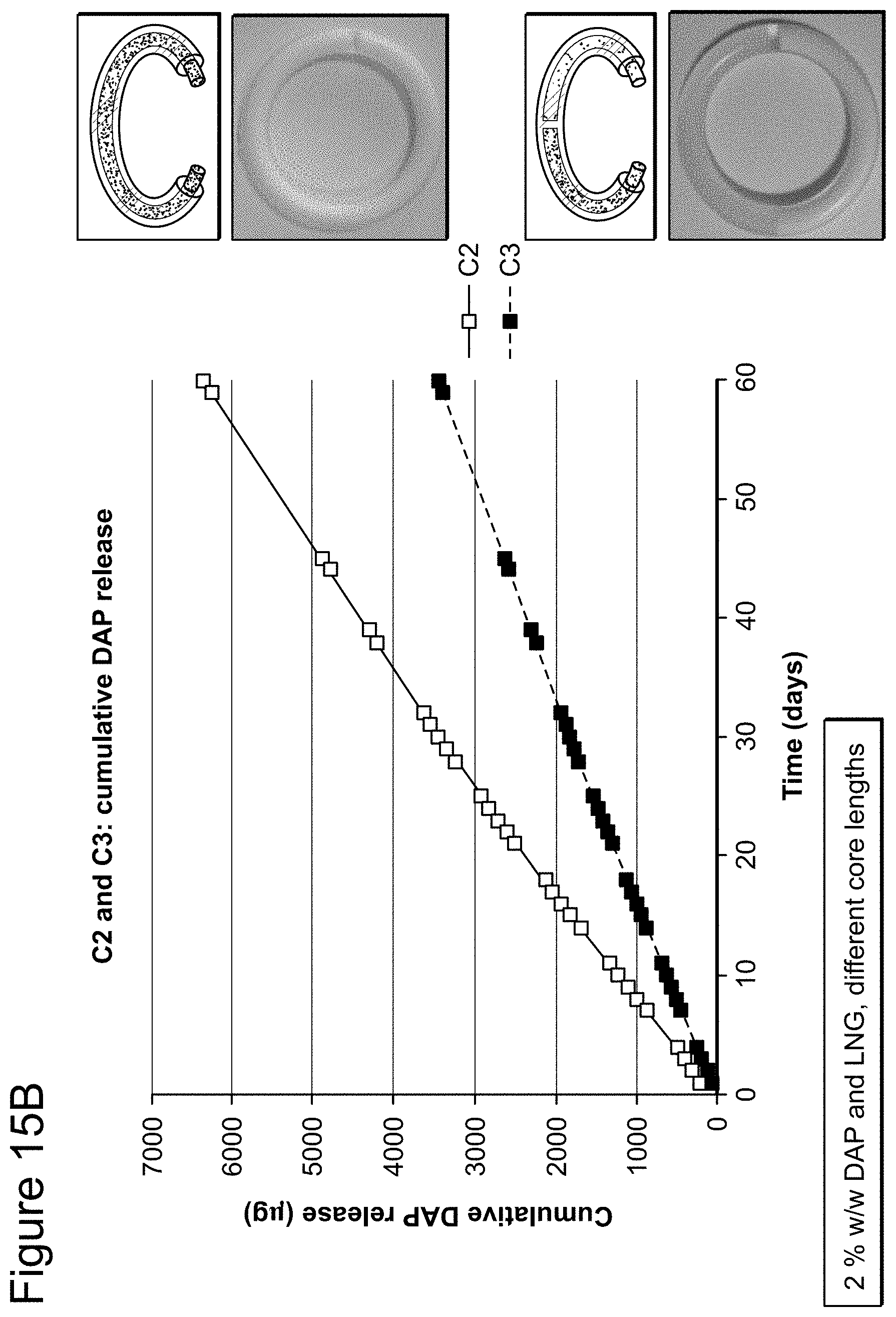 Patent US11793669 Figure 19 – Combination therapy intravaginal rings