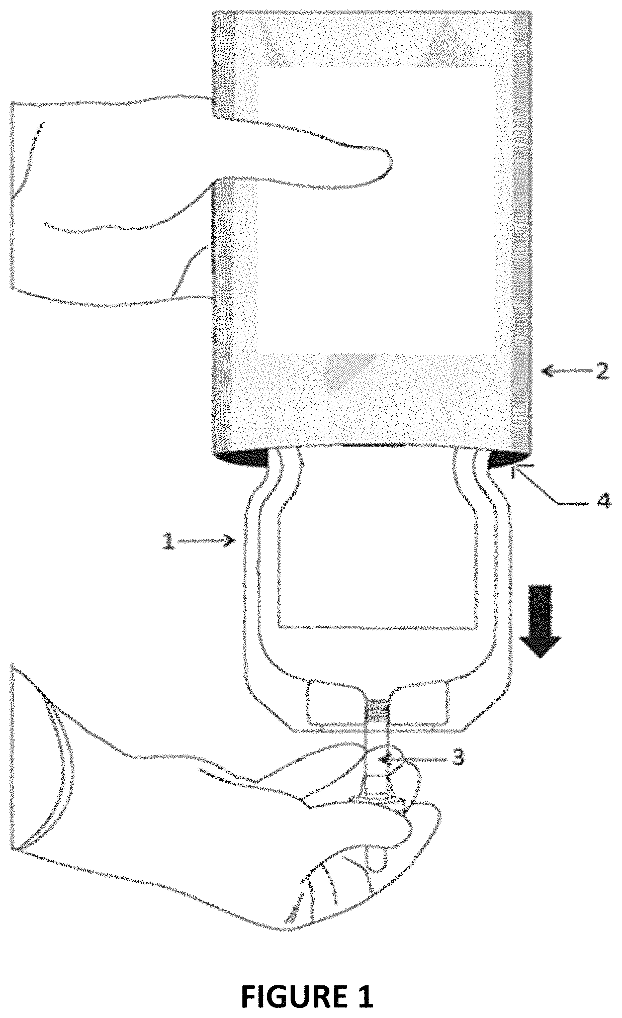 Patent US11793719 Figure 1 – Perfusion dosage form