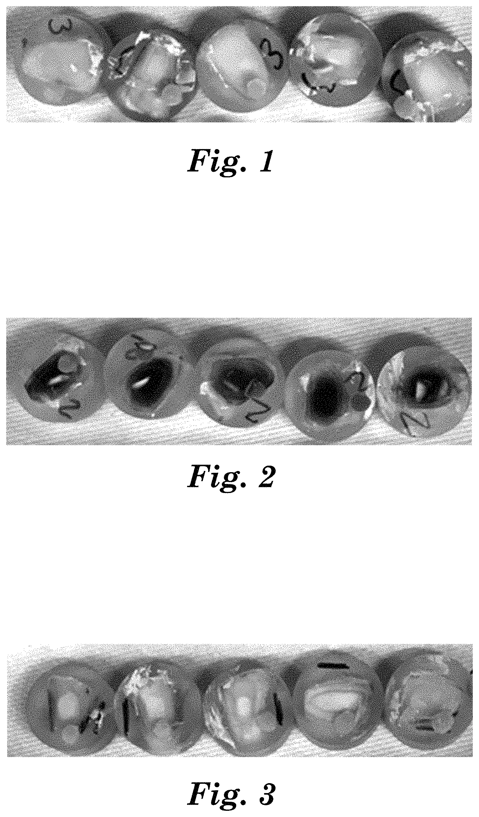Patent US11793734 Figure 1 – Aqueous oral care iodide-containing compositions, methods, and kits