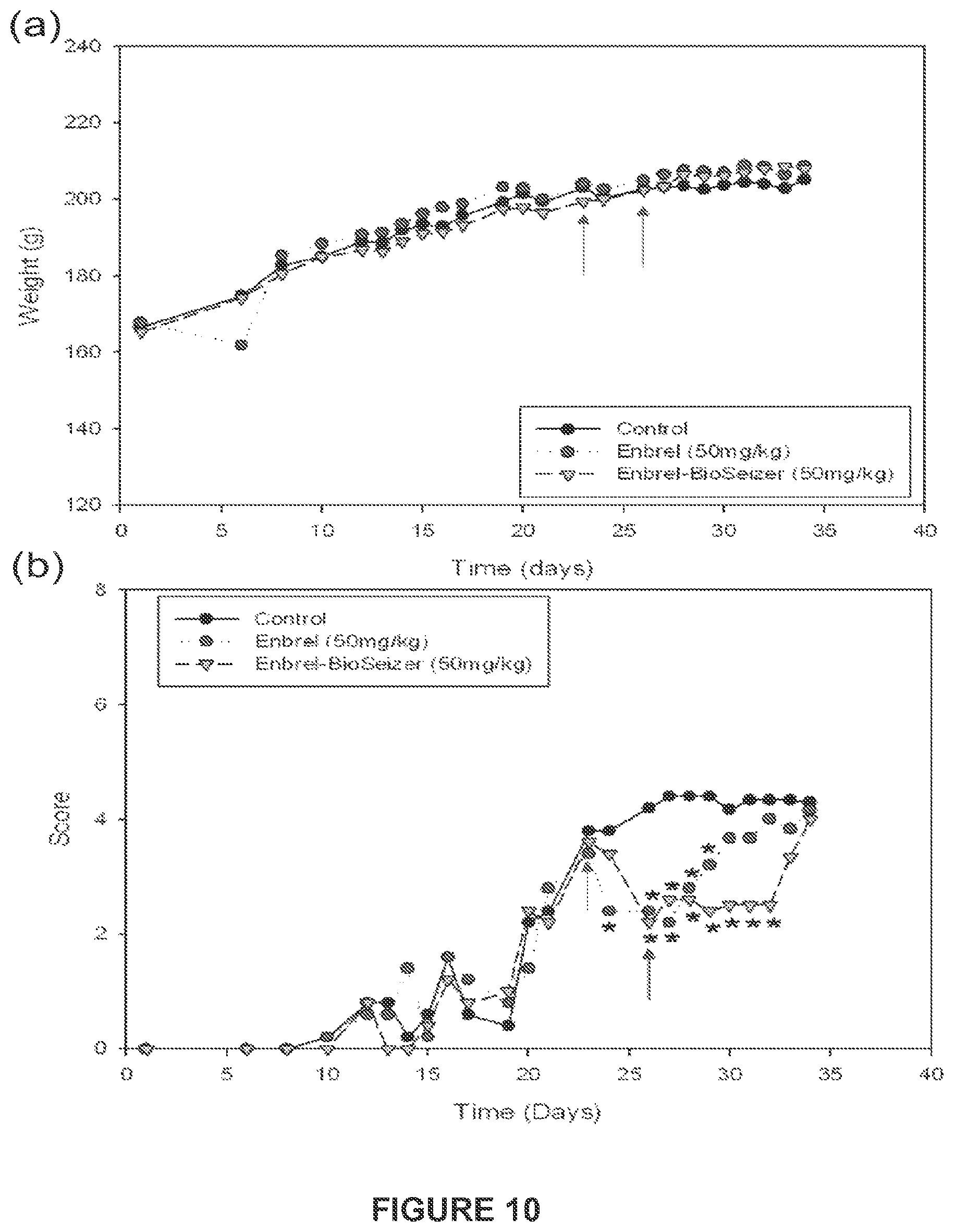Patent US11793755 Figure 10 – Pharmaceutical composition for intraarticular delivery