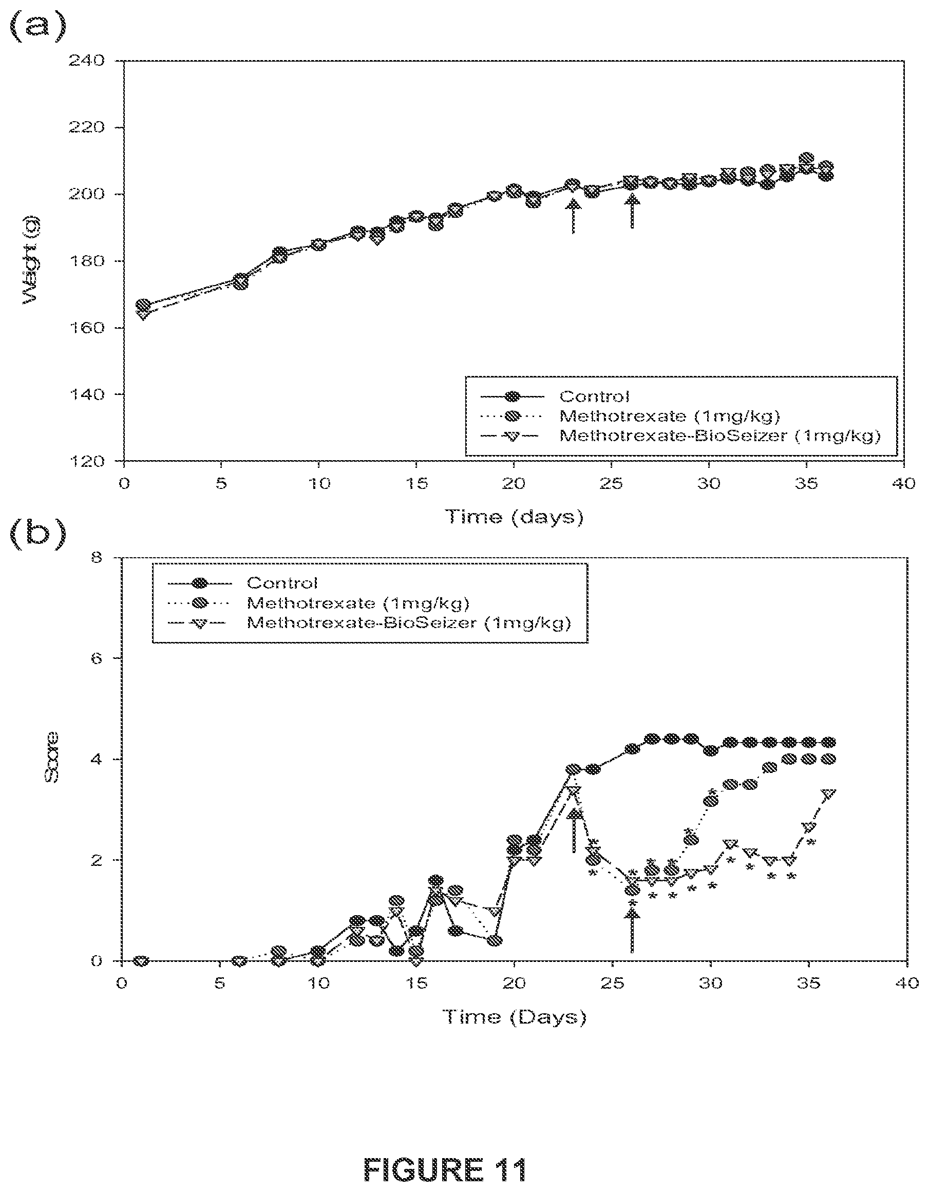 Patent US11793755 Figure 11 – Pharmaceutical composition for intraarticular delivery