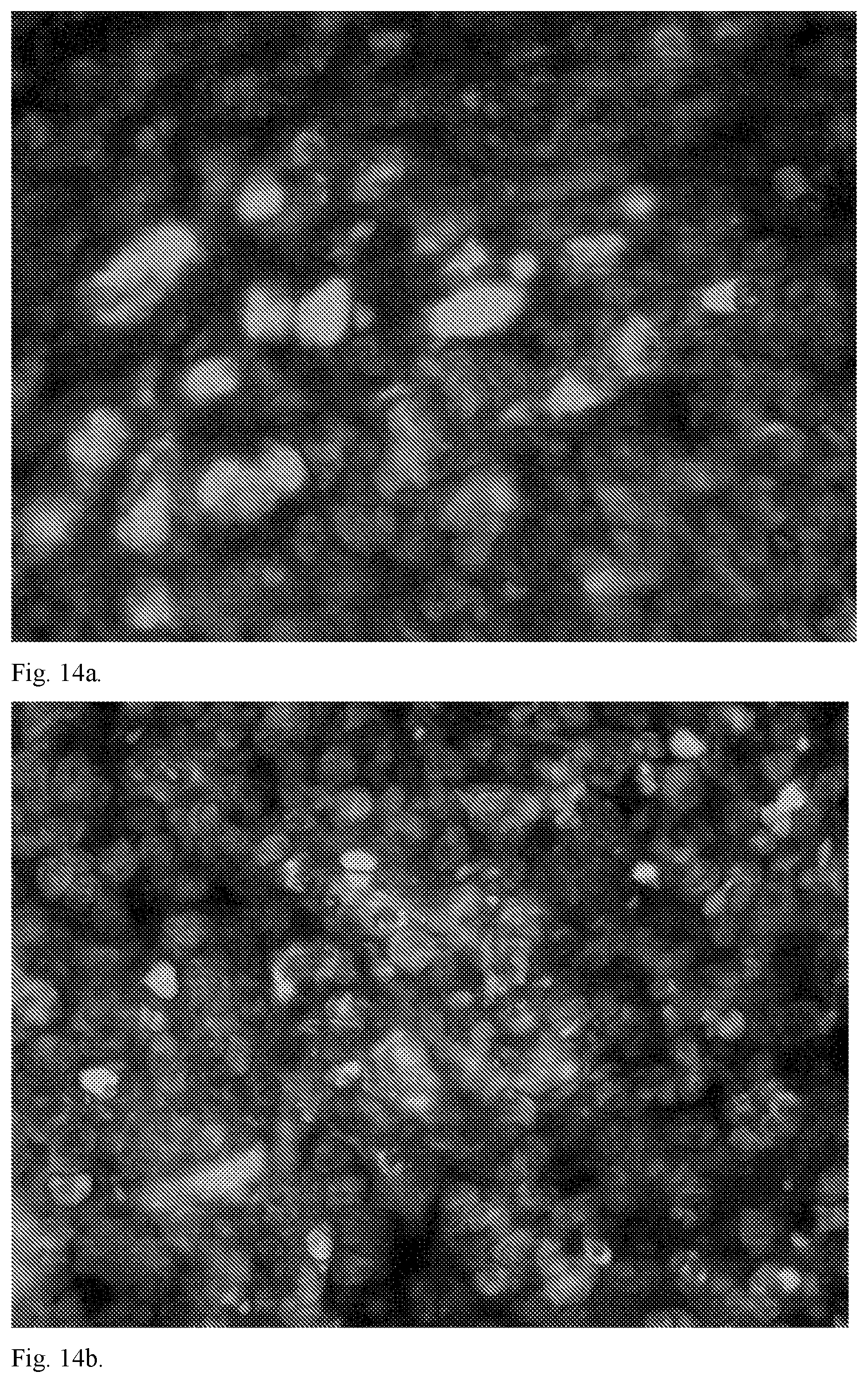 Patent US11793756 Figure 18 – Anionic nanocomplexes for nucleic acid delivery