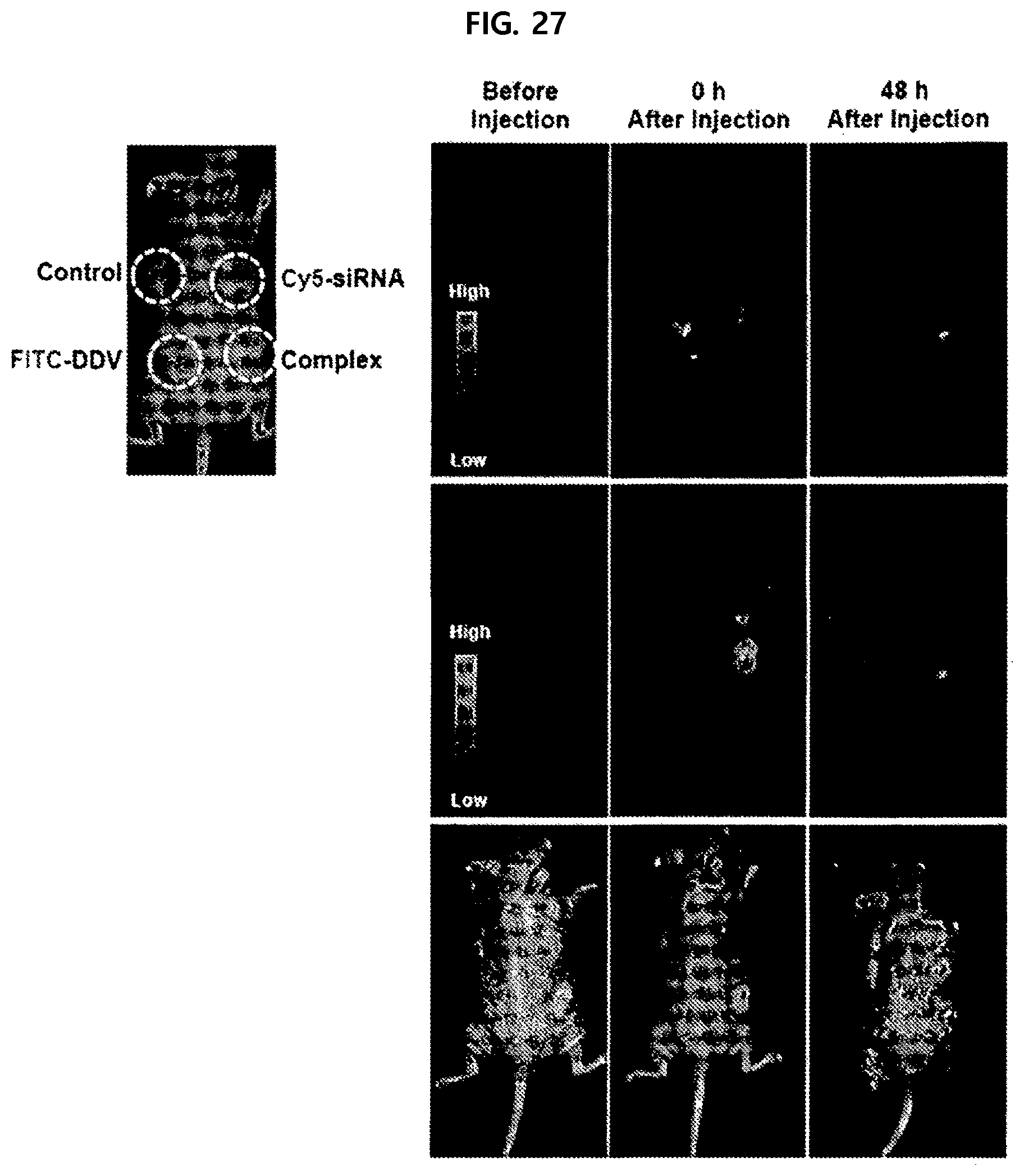 Patent US11793757 Figure 15 – Physiologically active substance carrier