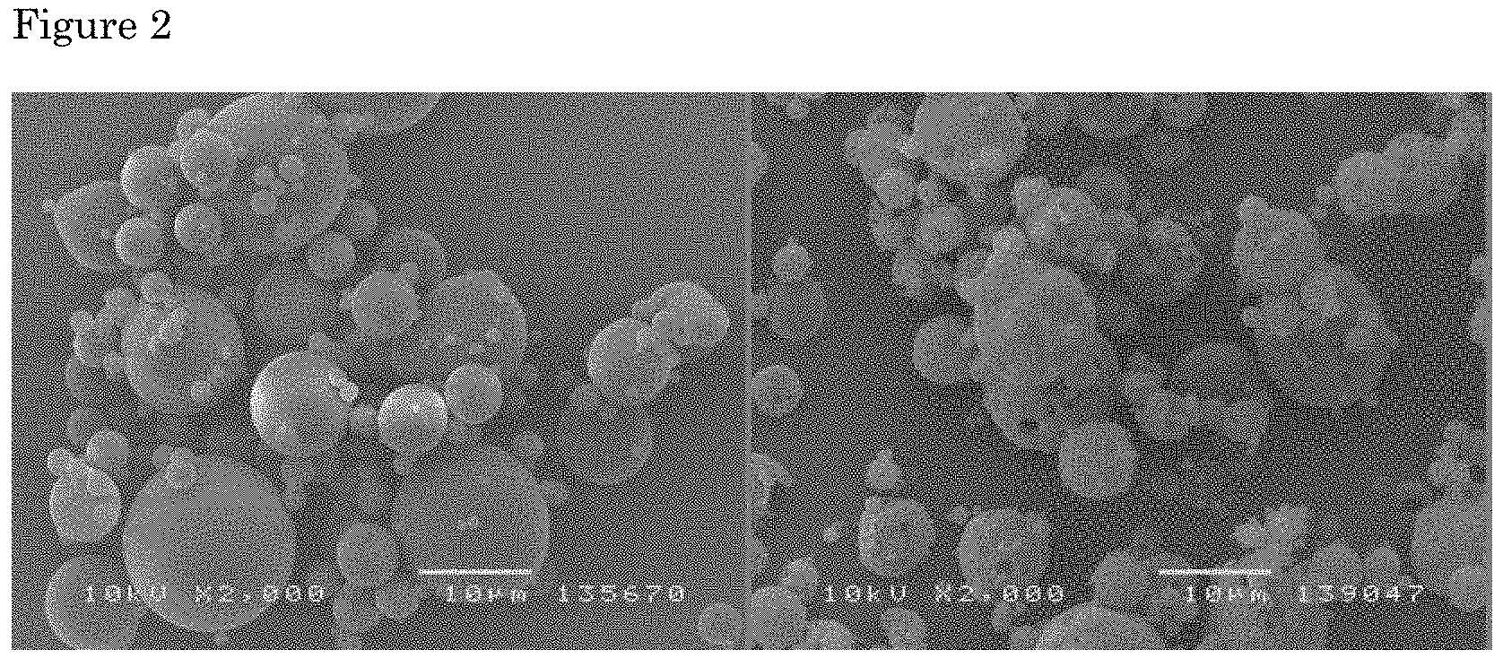 Patent US11793758 Figure 2 – Formulations of biological polymers for oral administration