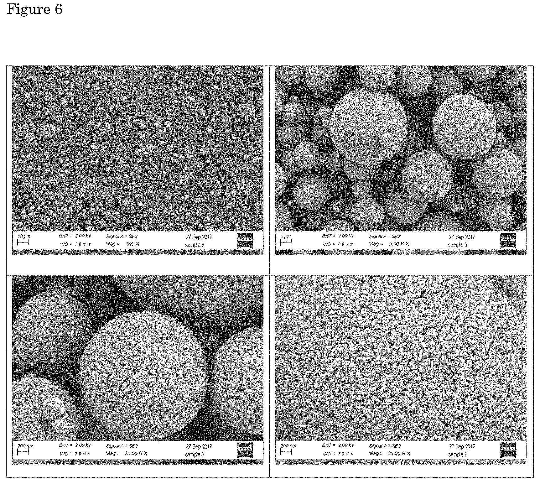 Patent US11793758 Figure 5 – Formulations of biological polymers for oral administration