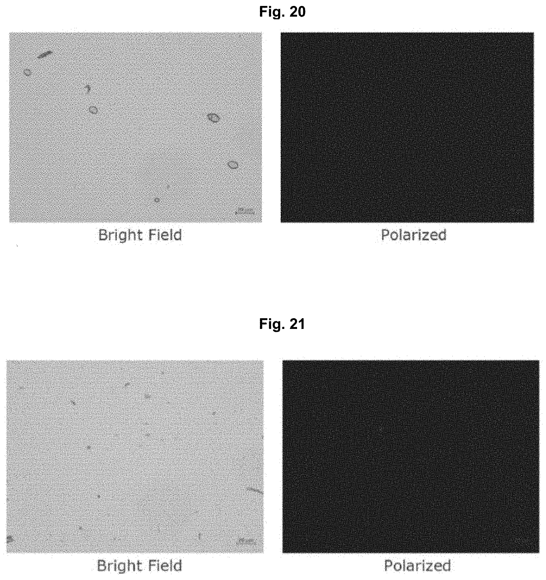 Patent US11793759 Figure 11 – Lyophilized formulations of tegavivint