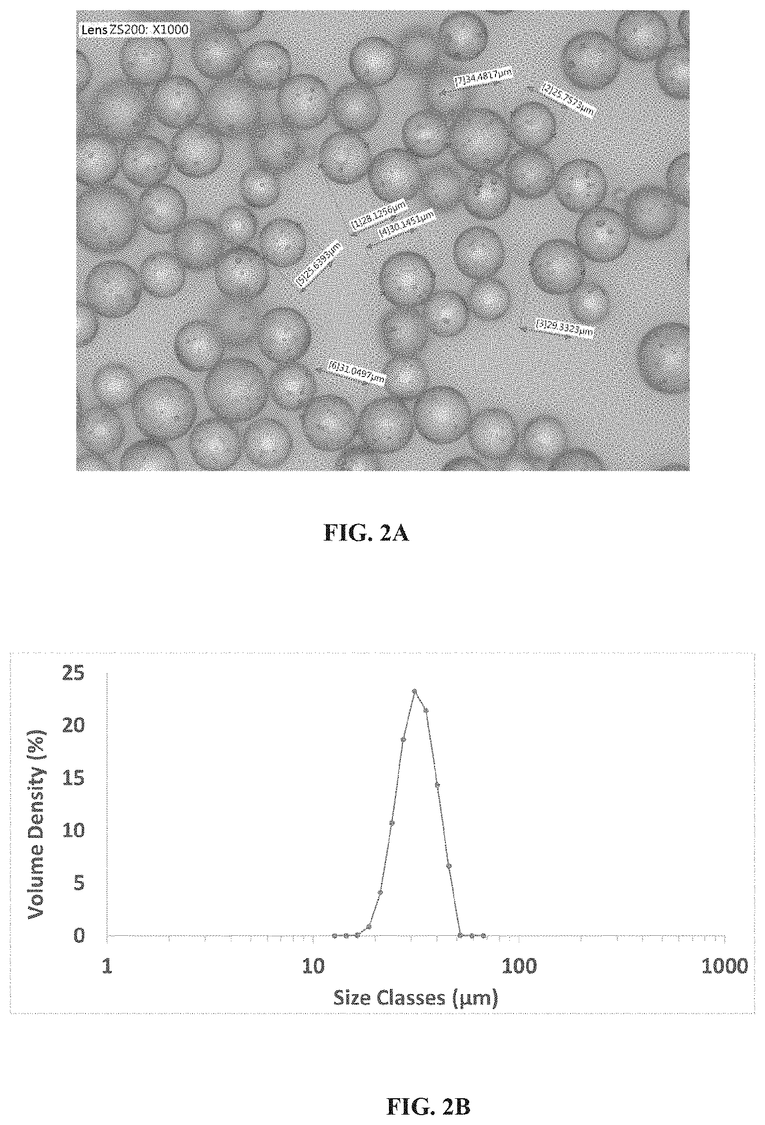 Patent US11793762 Figure 2 – Composition and method for reducing joint pain associated with hemarthrosis and hemophilic arthropathy