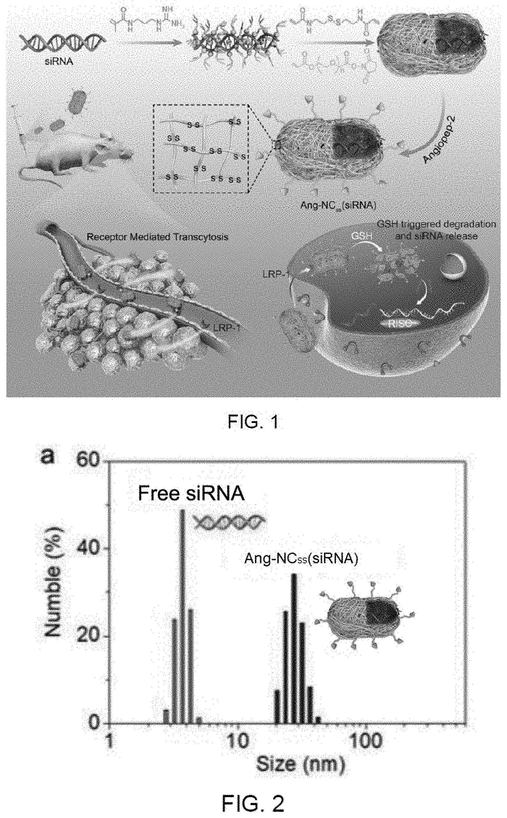 Patent US11793764 Figure 1 – siRNA nanocapsule and preparation method and use thereof