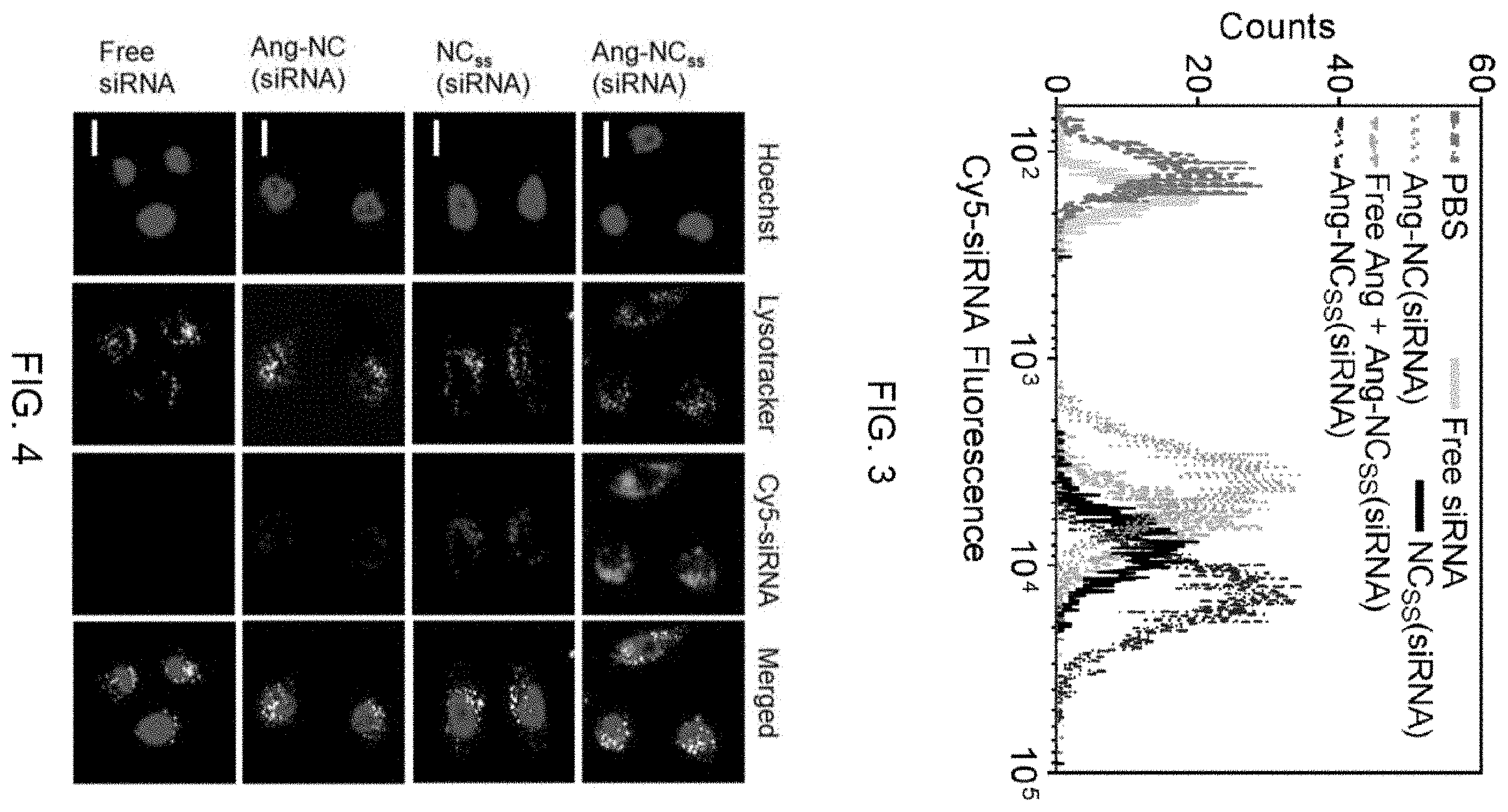 Patent US11793764 Figure 2 – siRNA nanocapsule and preparation method and use thereof