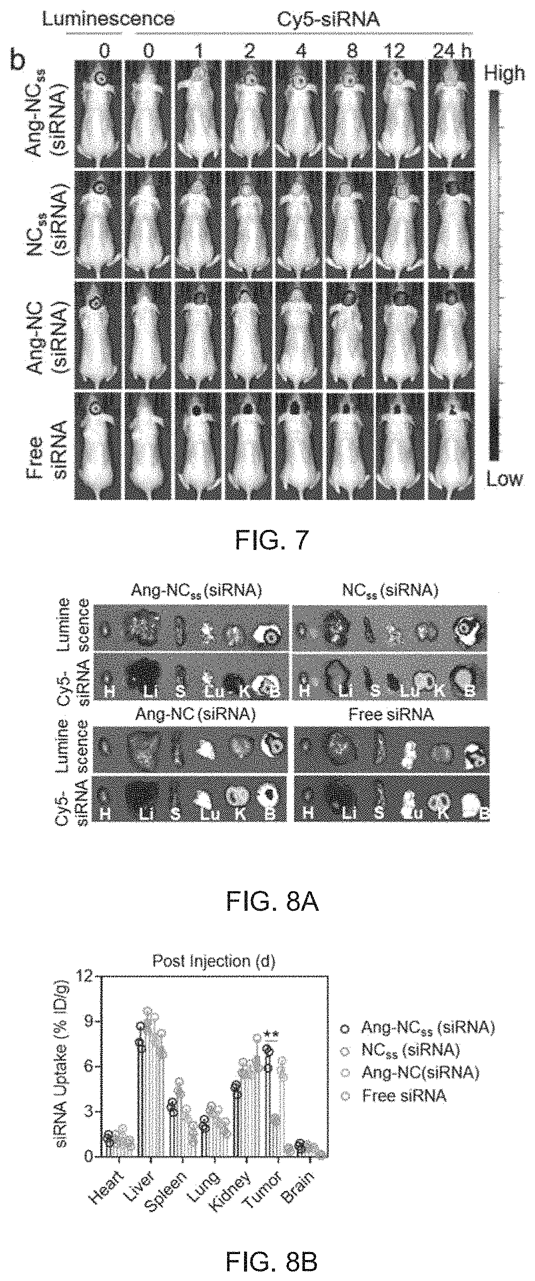 Patent US11793764 Figure 4 – siRNA nanocapsule and preparation method and use thereof
