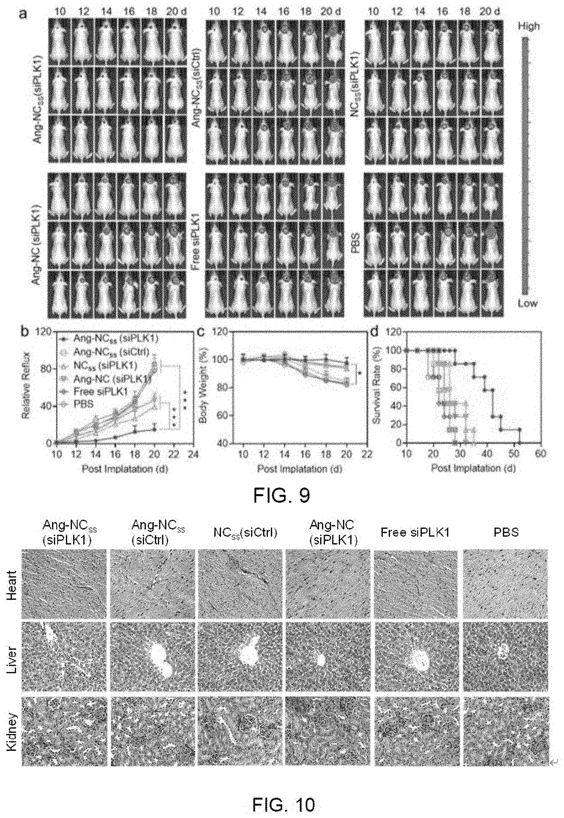 Patent US11793764 Figure 5 – siRNA nanocapsule and preparation method and use thereof