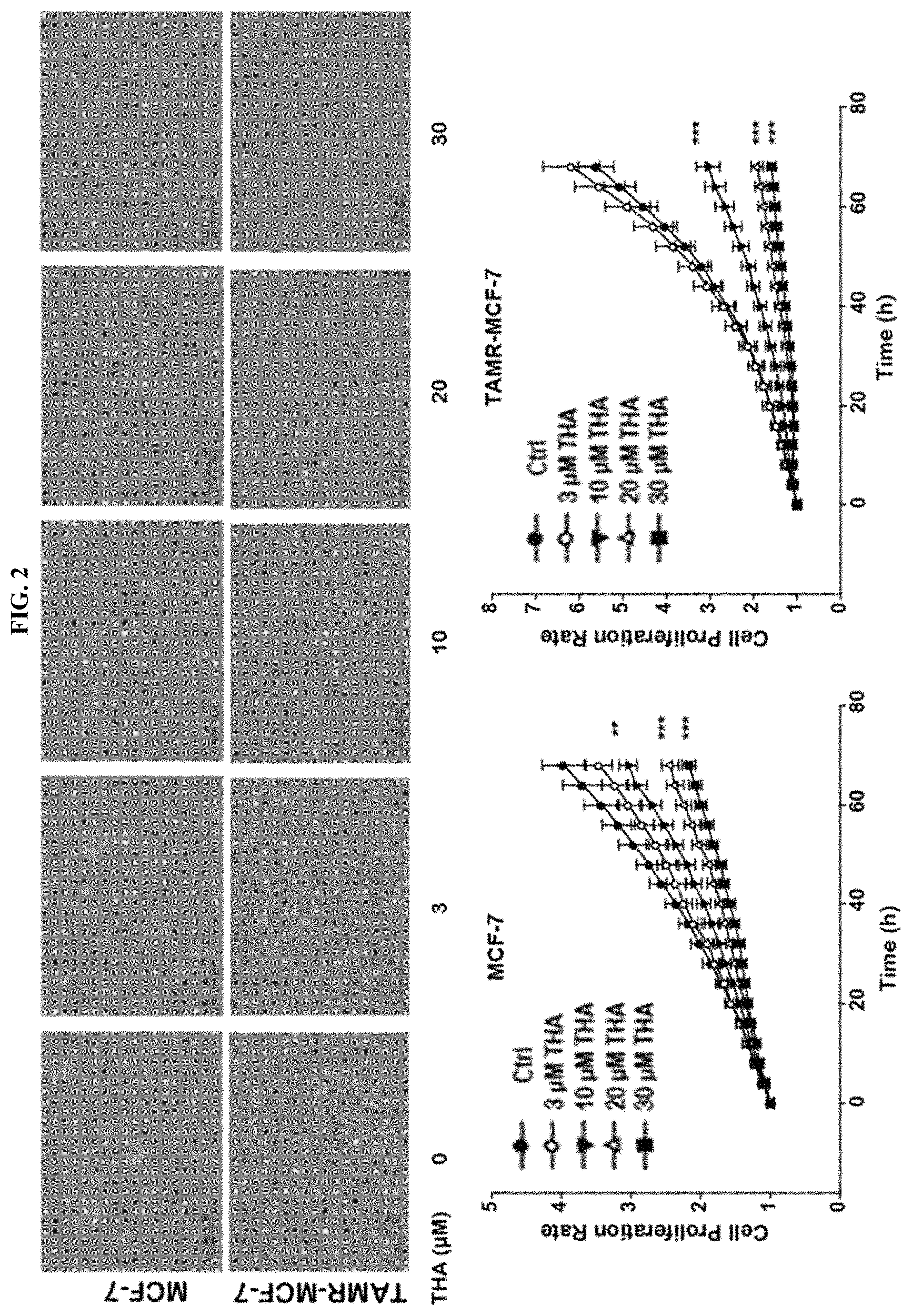 Patent US11793772 Figure 2 – Pharmaceutical composition comprising THA as active ingredient for treating breast cancer