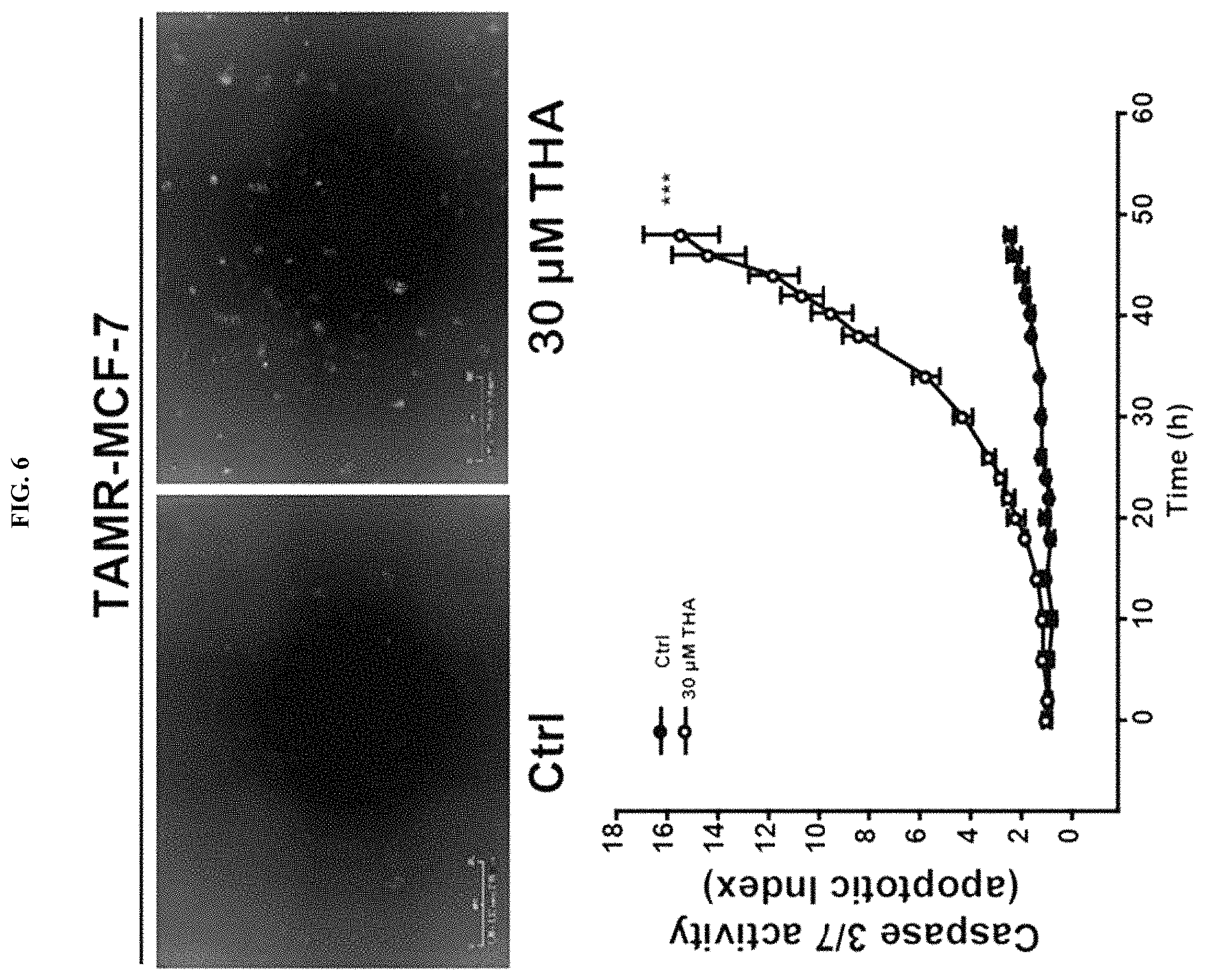 Patent US11793772 Figure 6 – Pharmaceutical composition comprising THA as active ingredient for treating breast cancer