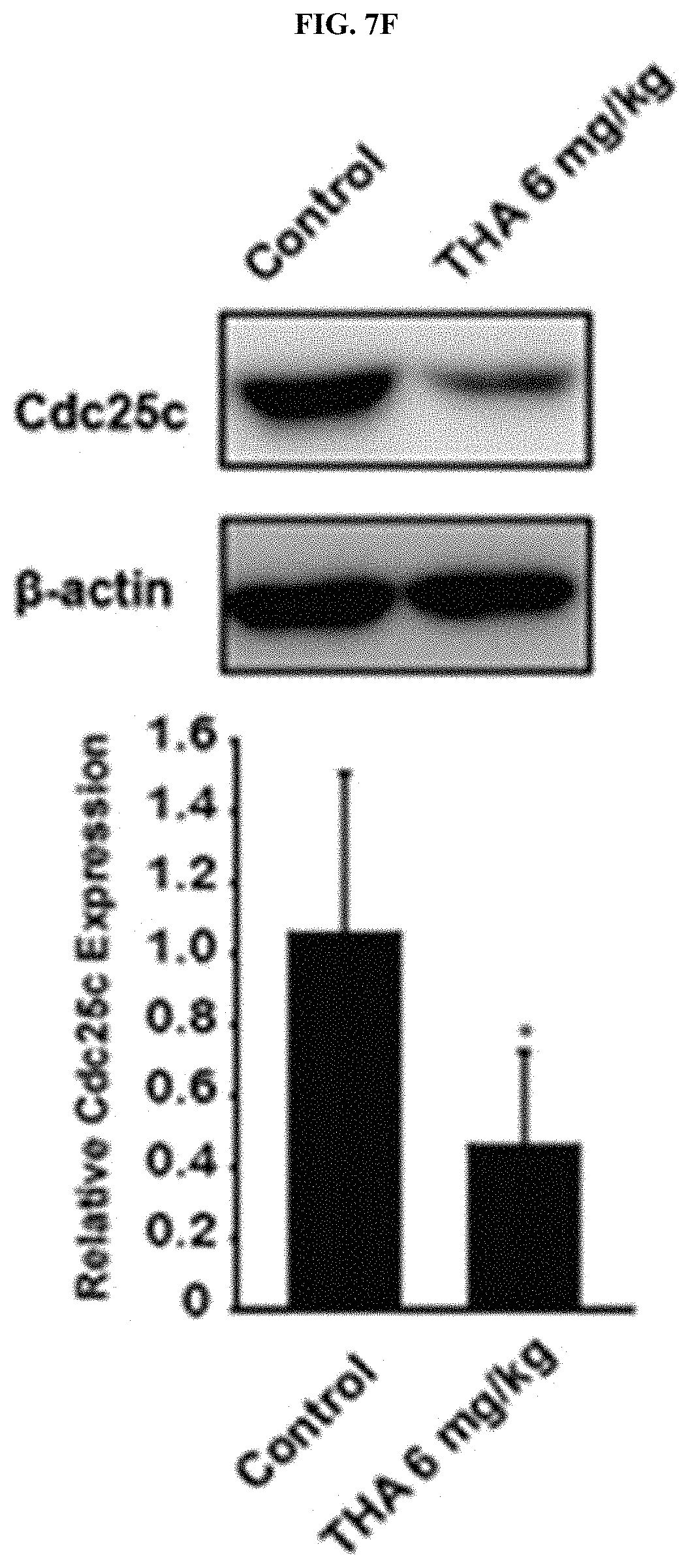 Patent US11793772 Figure 12 – Pharmaceutical composition comprising THA as active ingredient for treating breast cancer
