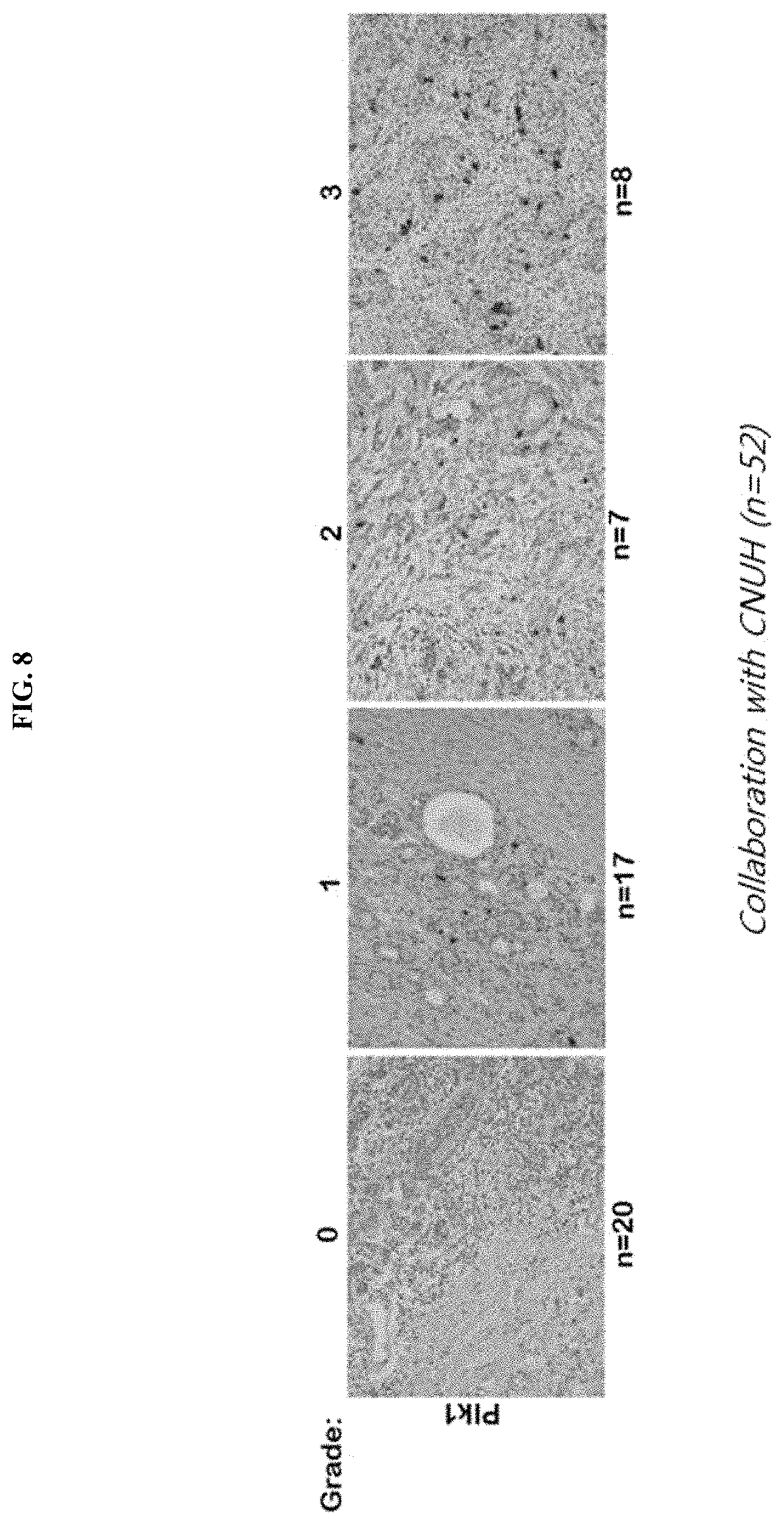 Patent US11793772 Figure 16 – Pharmaceutical composition comprising THA as active ingredient for treating breast cancer