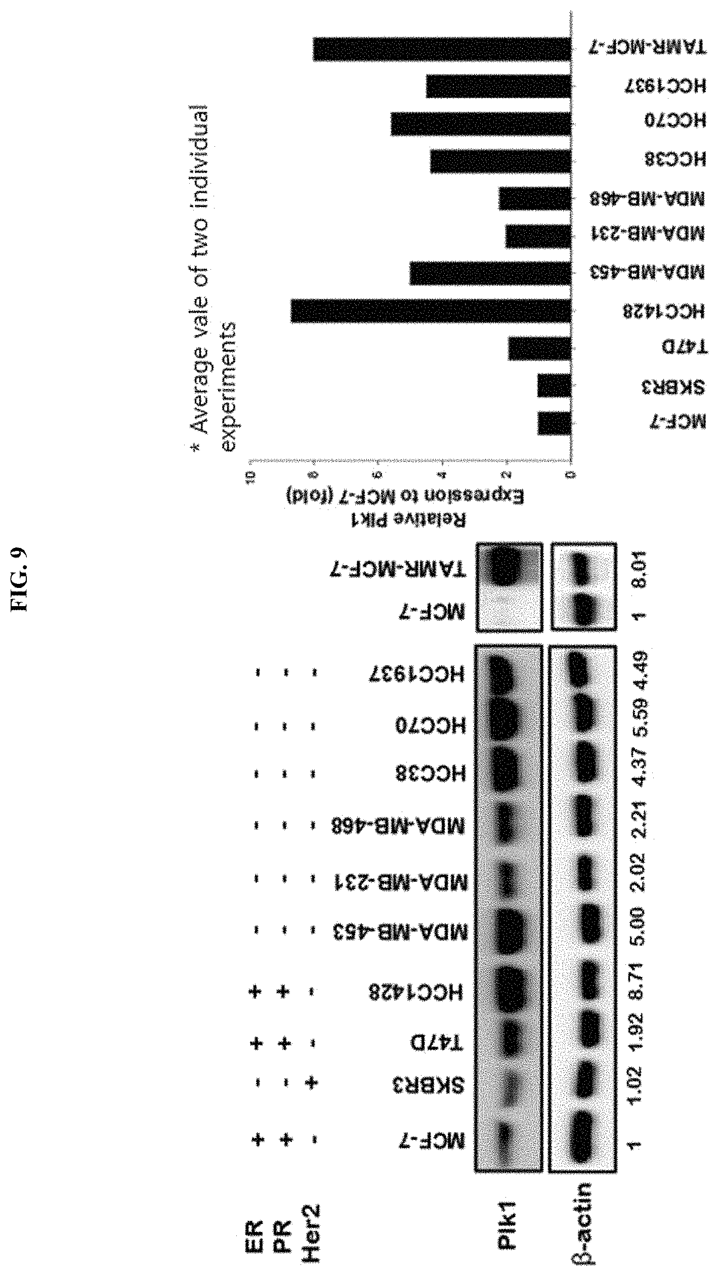 Patent US11793772 Figure 17 – Pharmaceutical composition comprising THA as active ingredient for treating breast cancer
