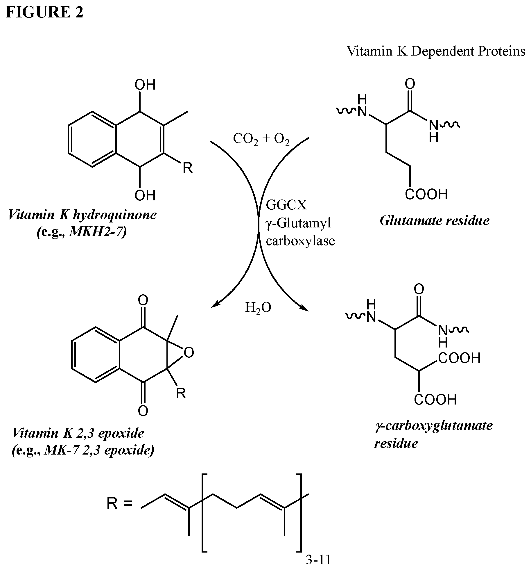 Patent US11793773 Figure 2 – Methods and compositions for preventing or treating calciphylaxis