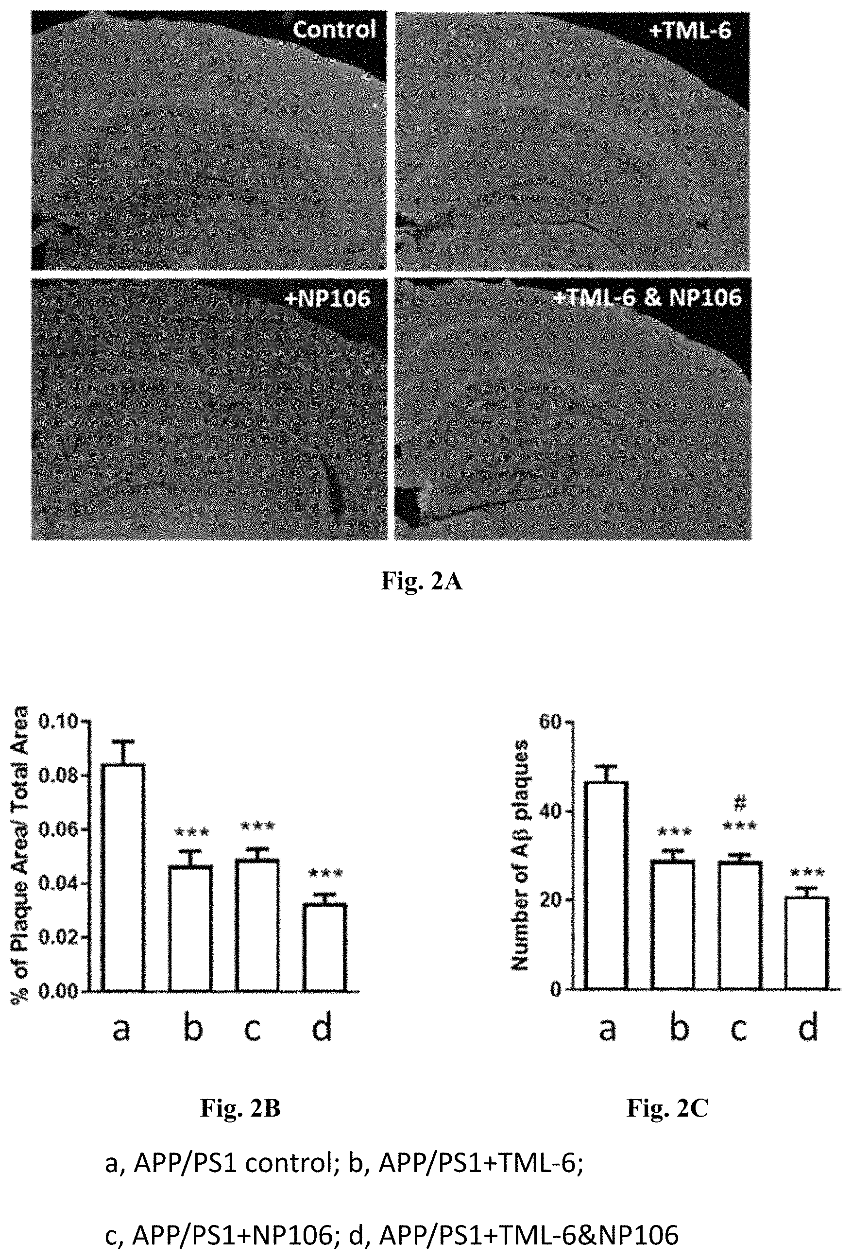 Patent US11793775 Figure 2 – Combined therapy for treating Alzheimer's disease