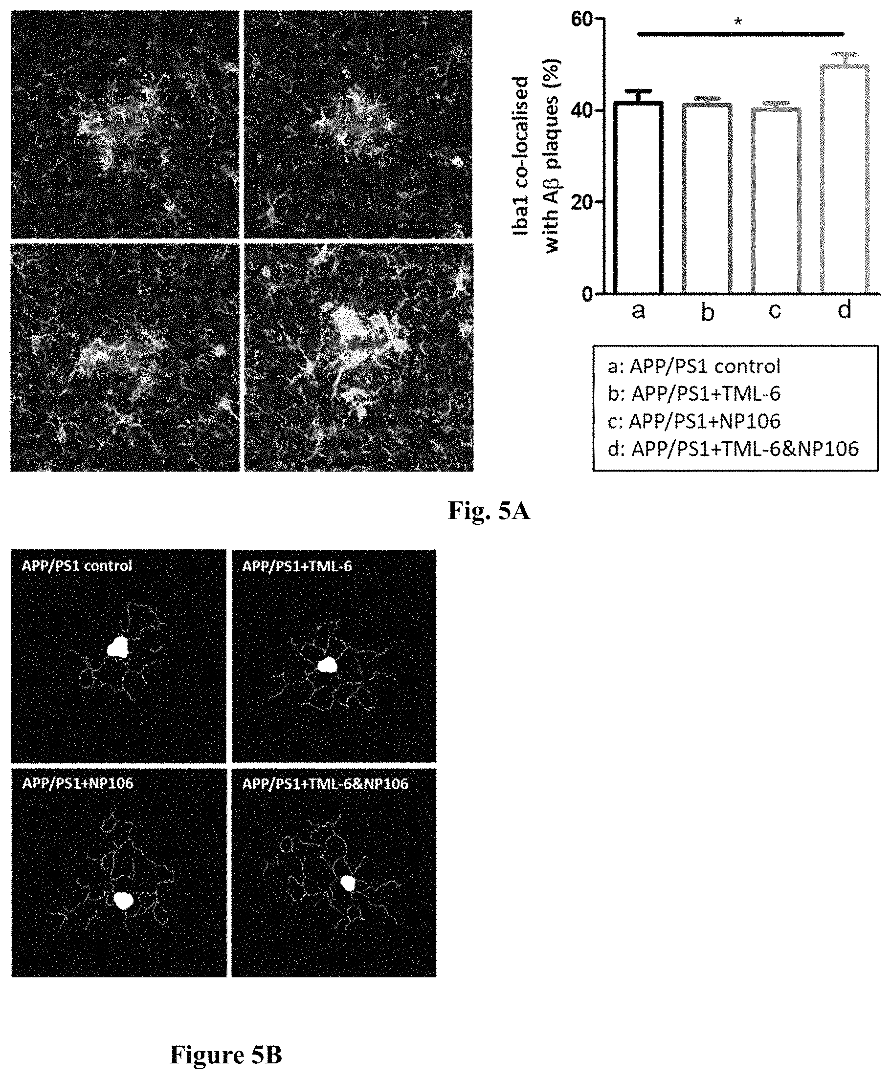 Patent US11793775 Figure 8 – Combined therapy for treating Alzheimer's disease