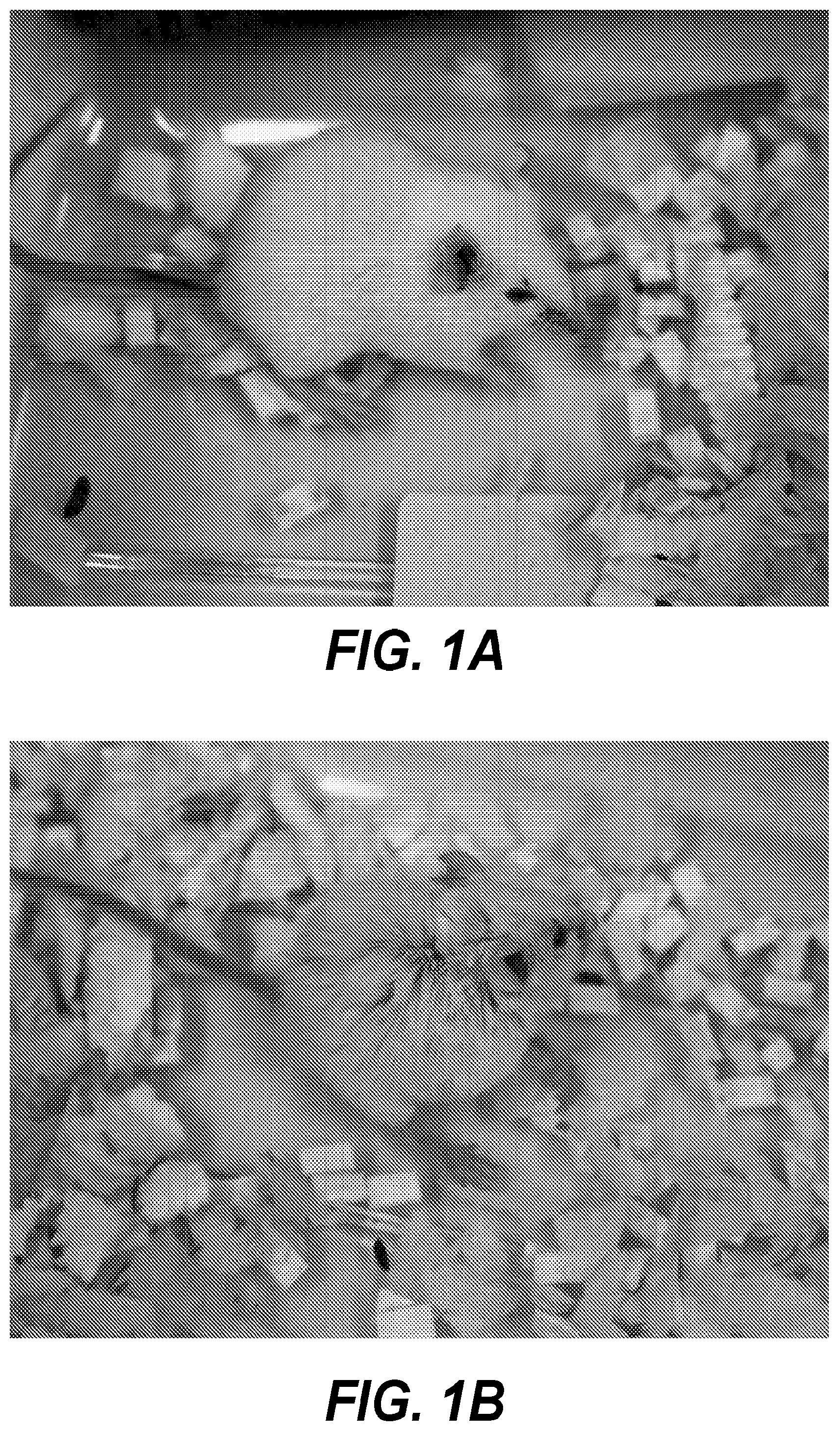 Patent US11793782 Figure 1 – Therapeutic agents for neurodegenerative diseases