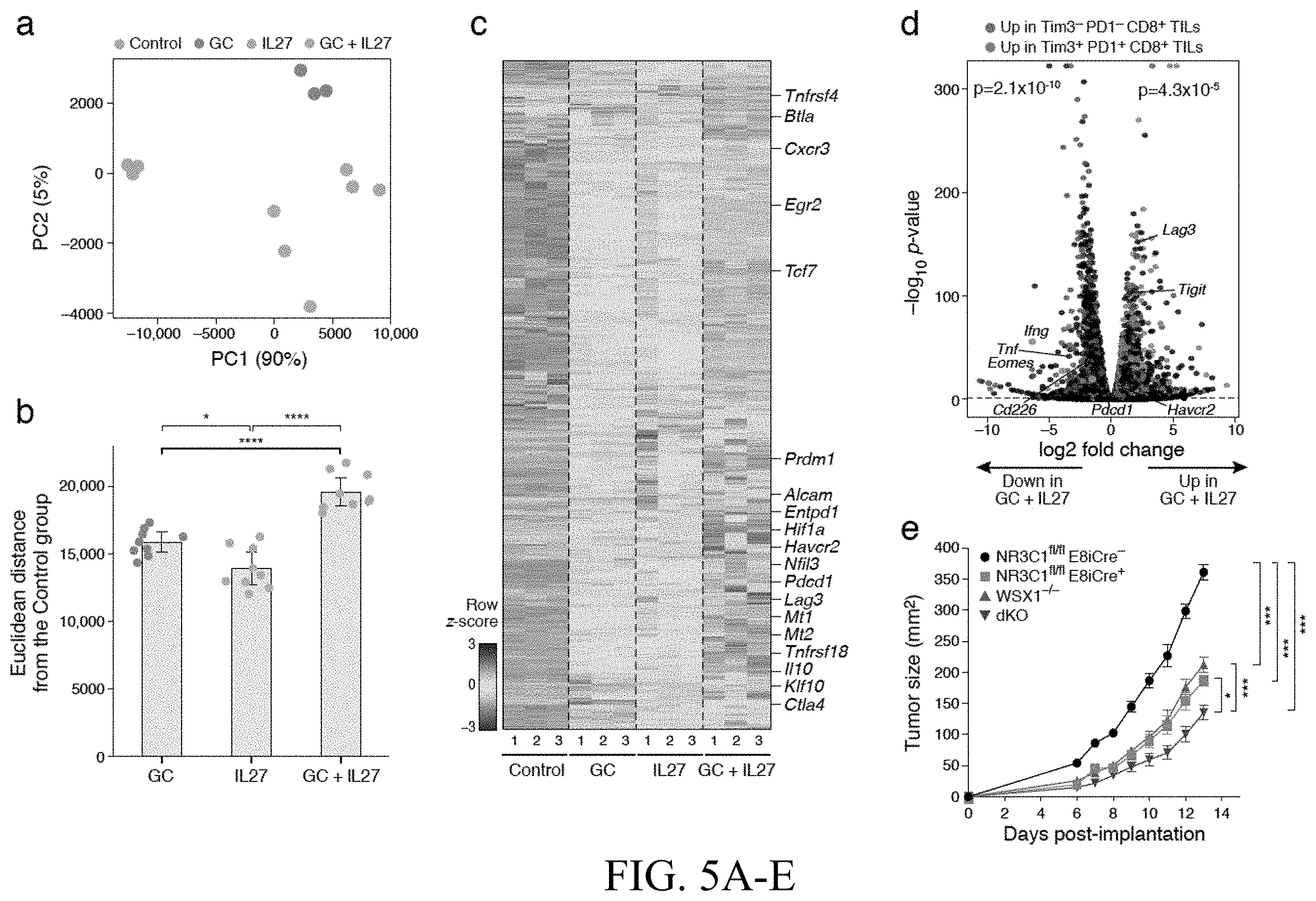 Patent US11793787 Figure 6 – Methods and compositions for enhancing anti-tumor immunity by targeting steroidogenesis