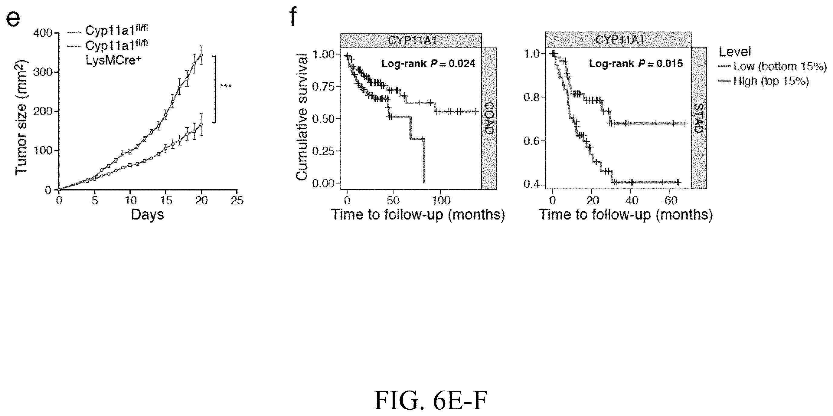 Patent US11793787 Figure 9 – Methods and compositions for enhancing anti-tumor immunity by targeting steroidogenesis