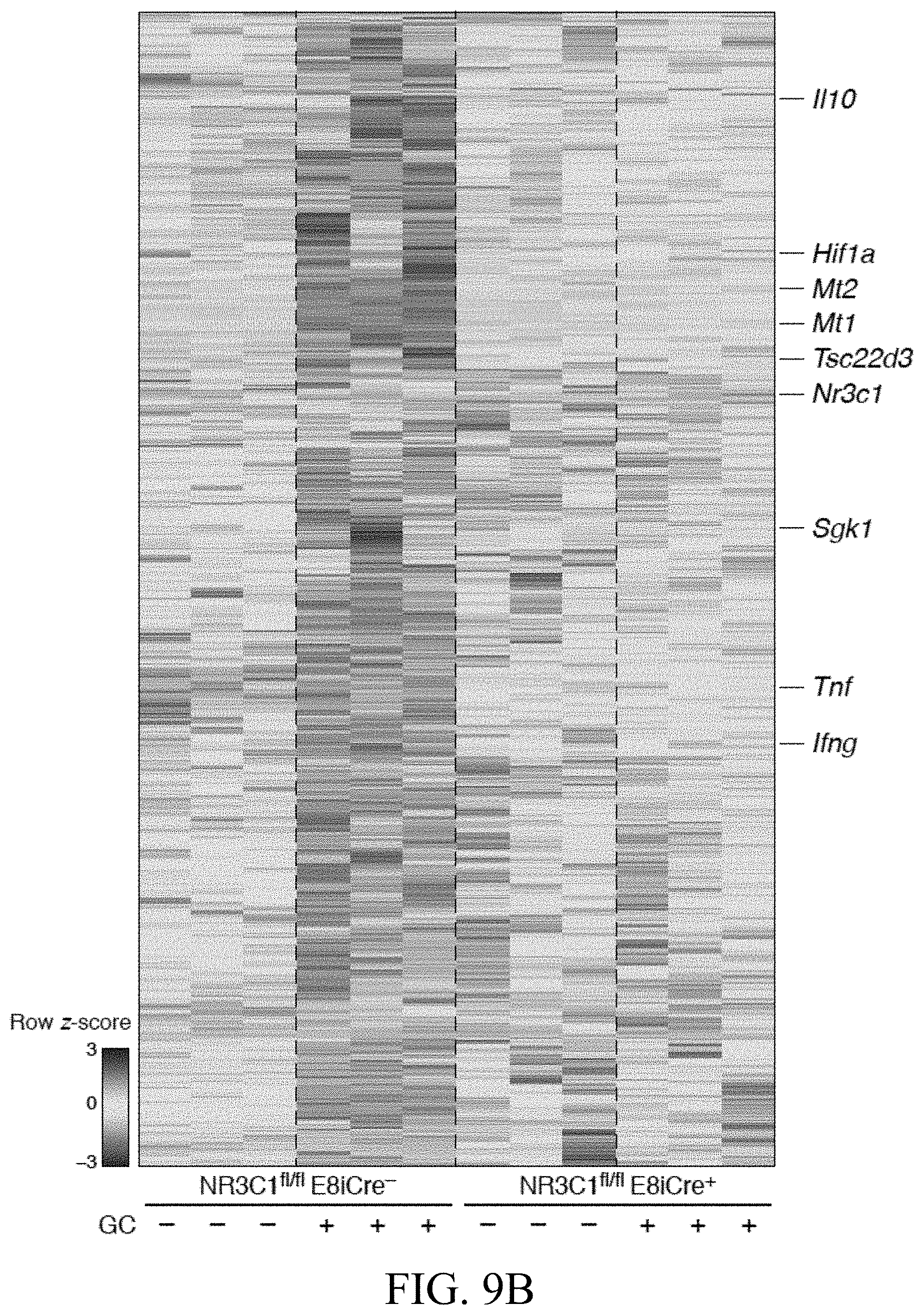 Patent US11793787 Figure 14 – Methods and compositions for enhancing anti-tumor immunity by targeting steroidogenesis