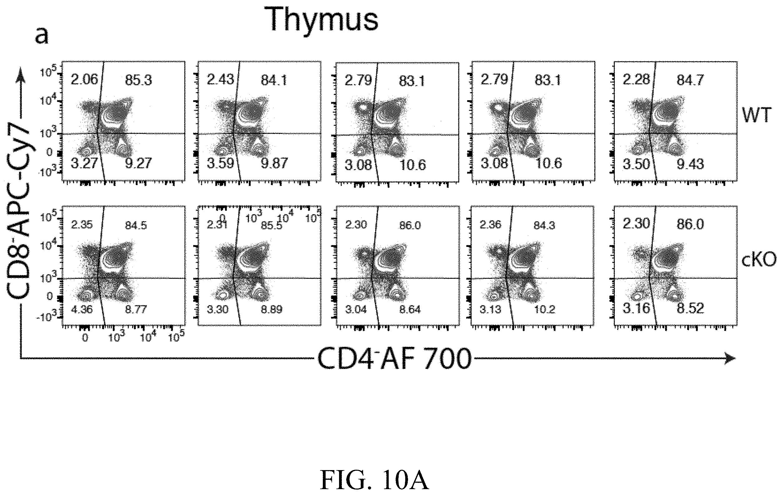 Patent US11793787 Figure 15 – Methods and compositions for enhancing anti-tumor immunity by targeting steroidogenesis