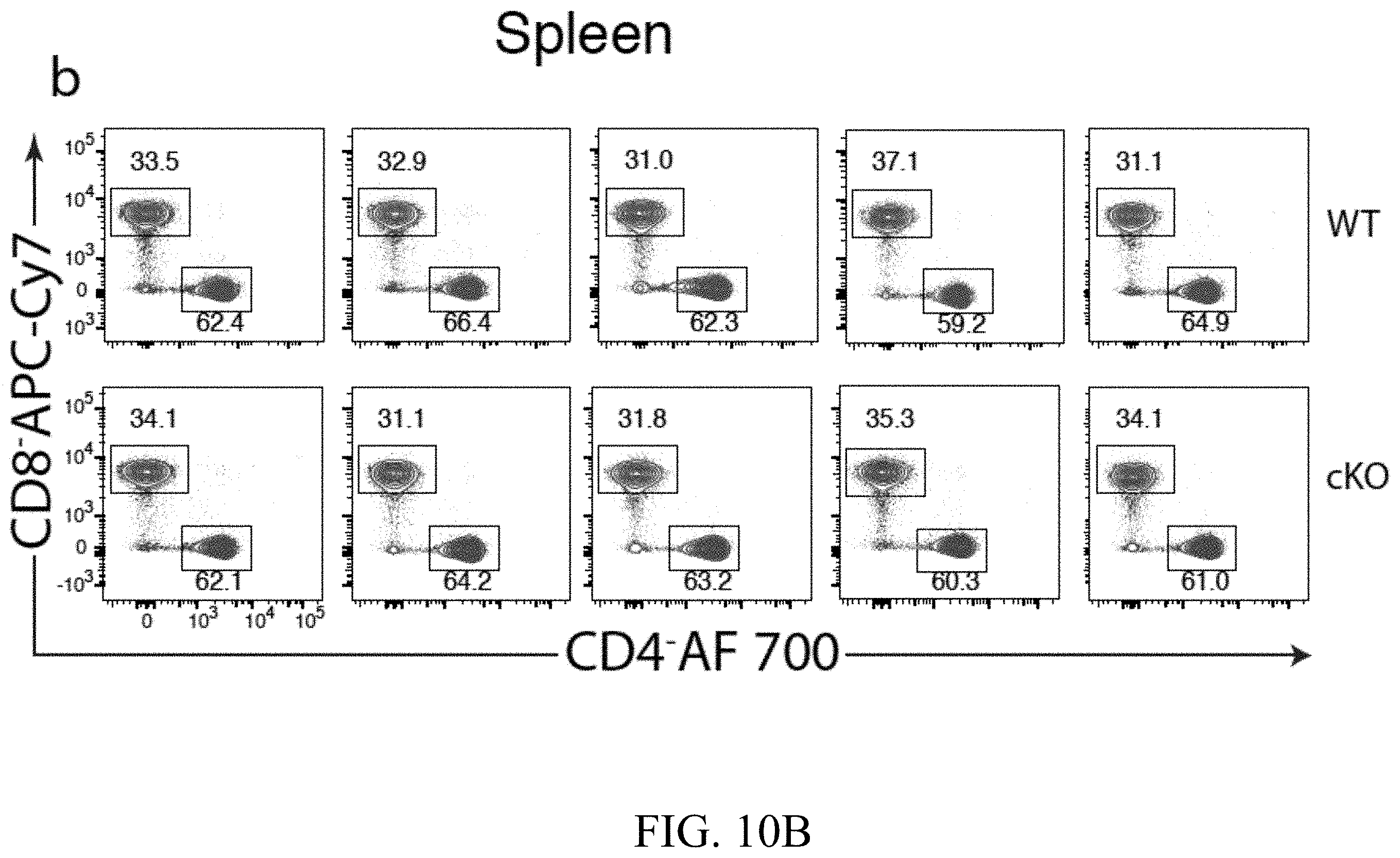 Patent US11793787 Figure 16 – Methods and compositions for enhancing anti-tumor immunity by targeting steroidogenesis