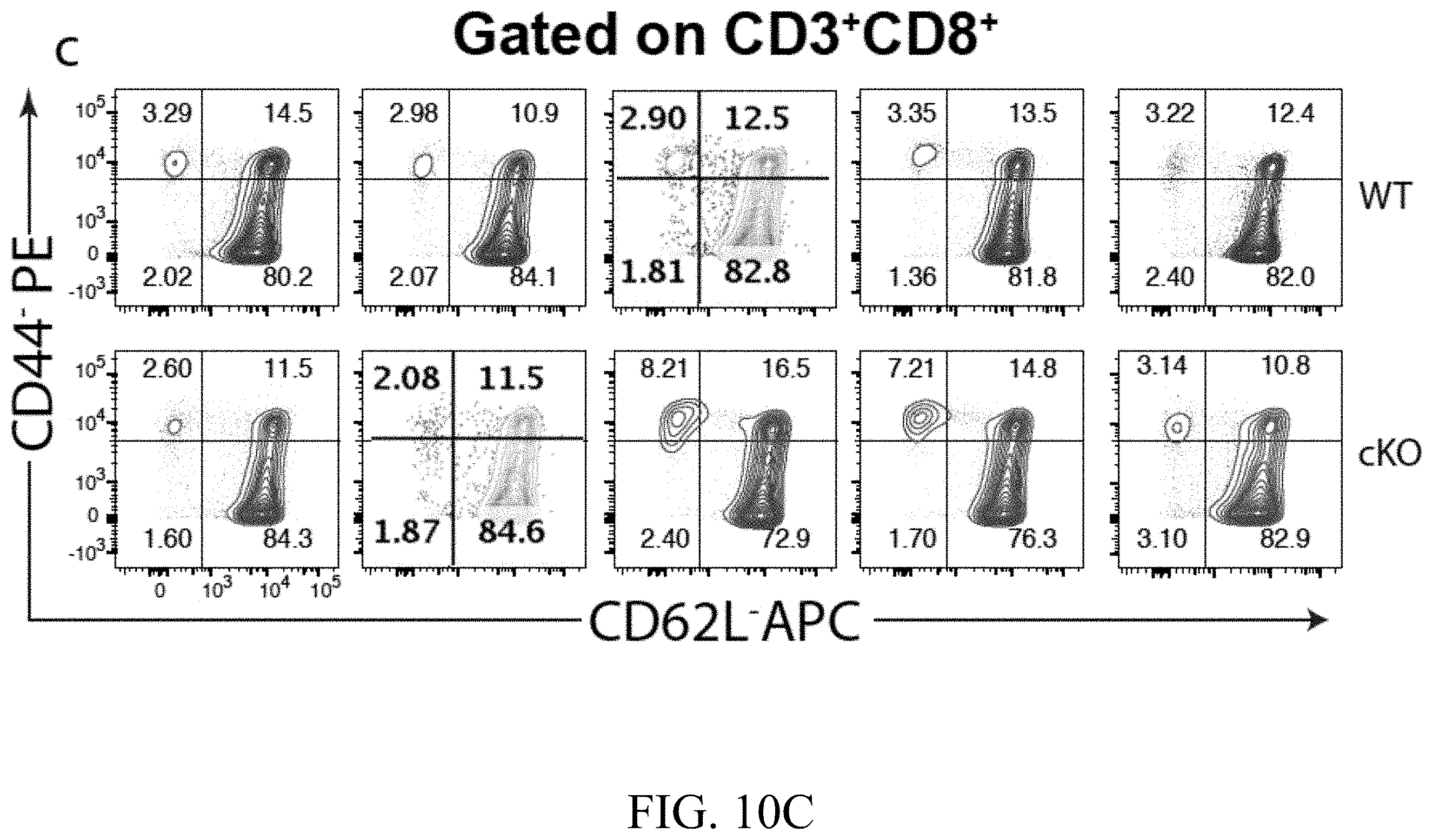 Patent US11793787 Figure 17 – Methods and compositions for enhancing anti-tumor immunity by targeting steroidogenesis