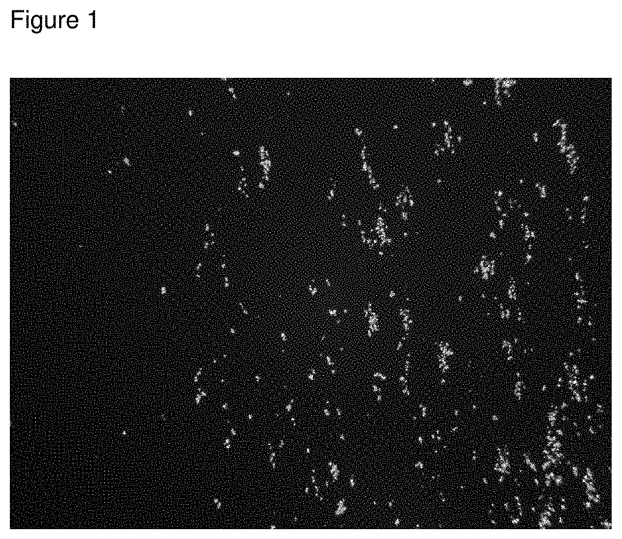 Patent US11793796 Figure 1 – Inhibition of crystal growth of roflumilast