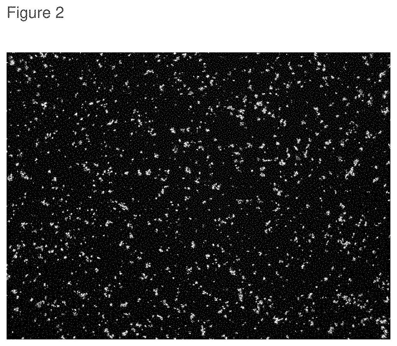 Patent US11793796 Figure 2 – Inhibition of crystal growth of roflumilast