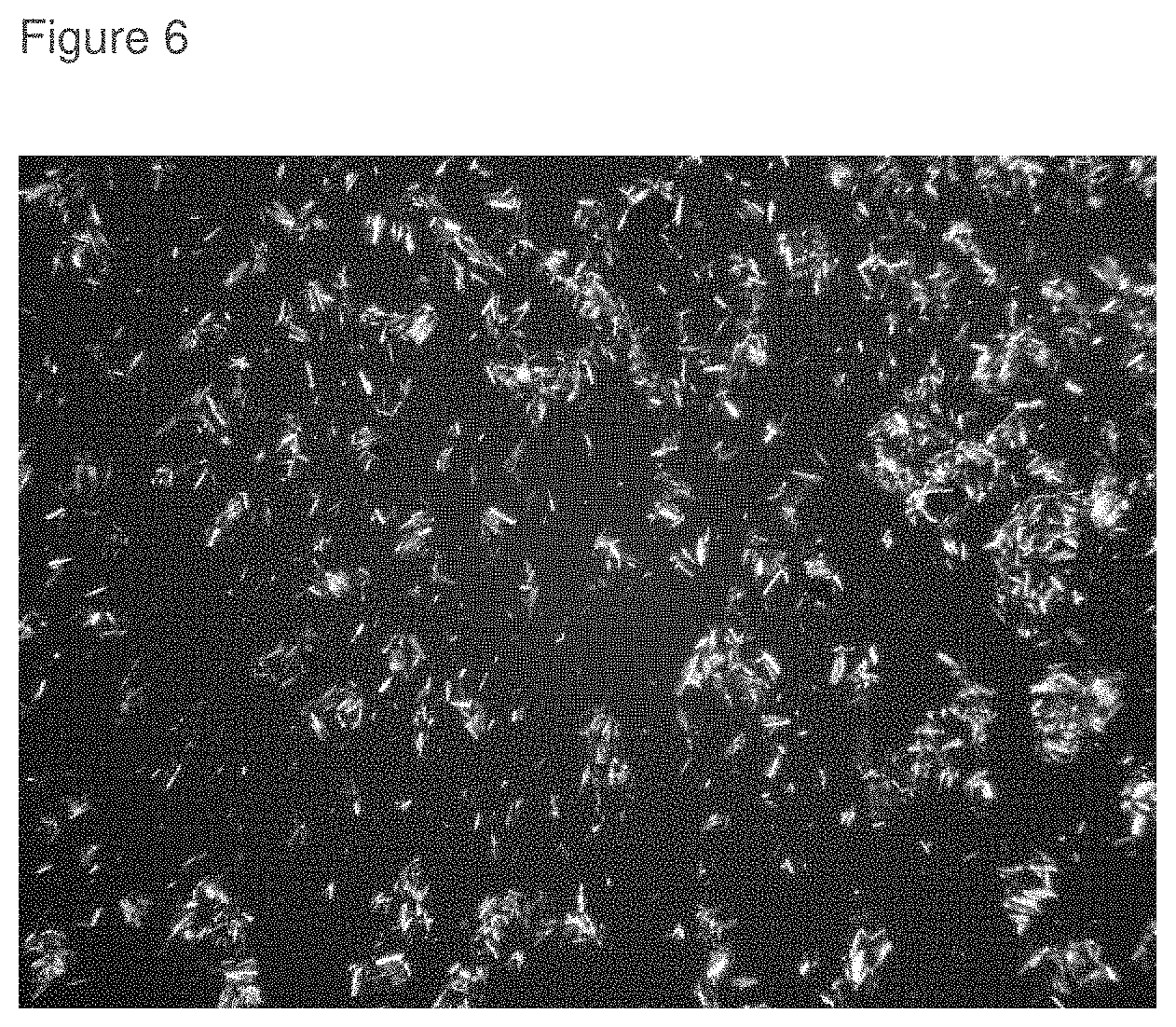 Patent US11793796 Figure 6 – Inhibition of crystal growth of roflumilast