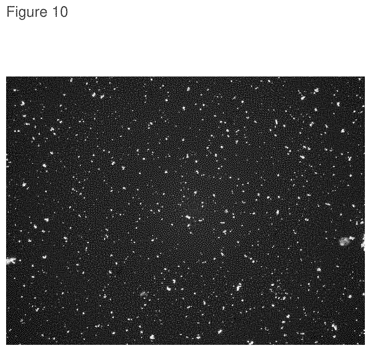 Patent US11793796 Figure 10 – Inhibition of crystal growth of roflumilast