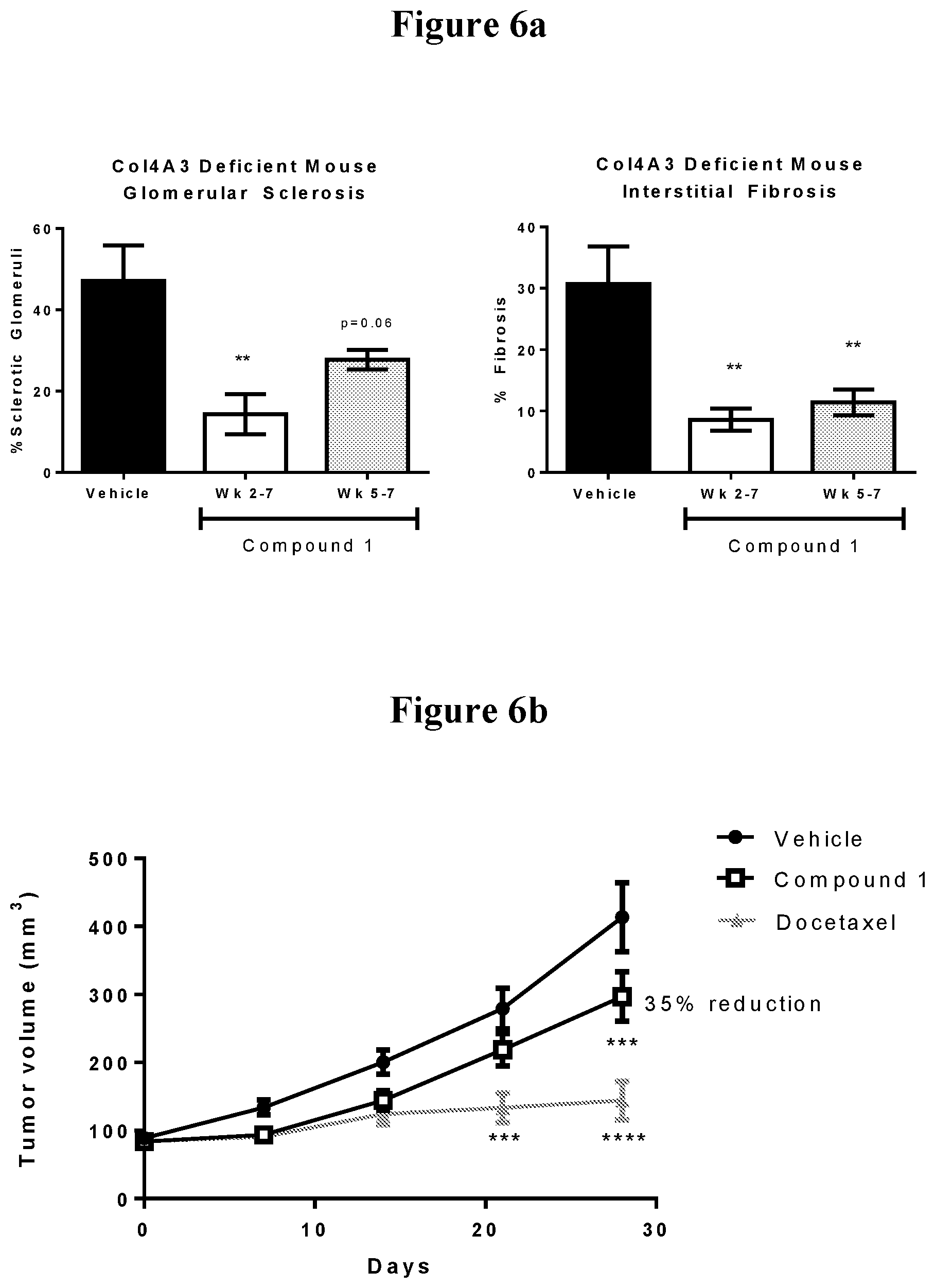 Patent US11793797 Figure 6 – Uses of a lysyl oxidase-like 2 inhibitor