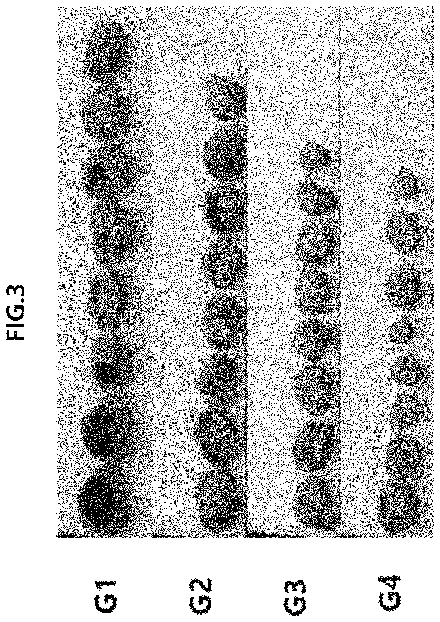 Patent US11793803 Figure 5 – Particle and pharmaceutical composition comprising an insoluble camptothecin compound with double core-shell structure and method for manufacturing the same