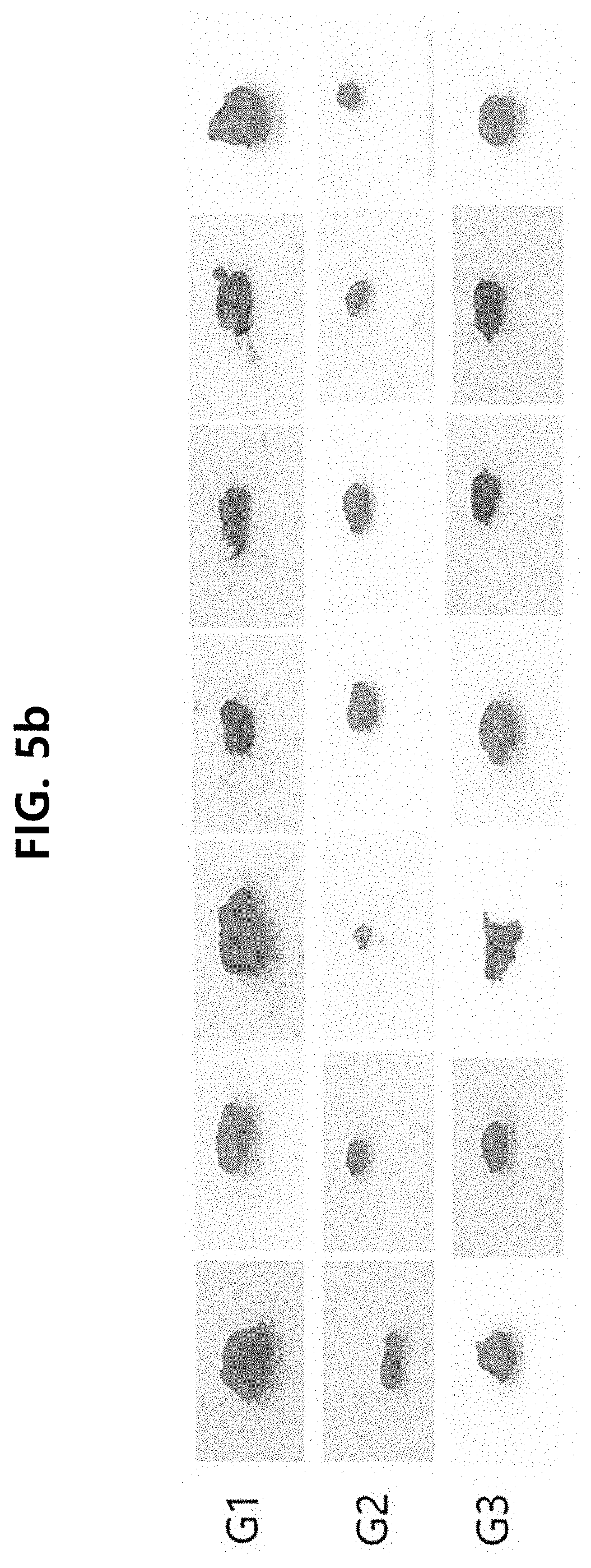 Patent US11793803 Figure 8 – Particle and pharmaceutical composition comprising an insoluble camptothecin compound with double core-shell structure and method for manufacturing the same