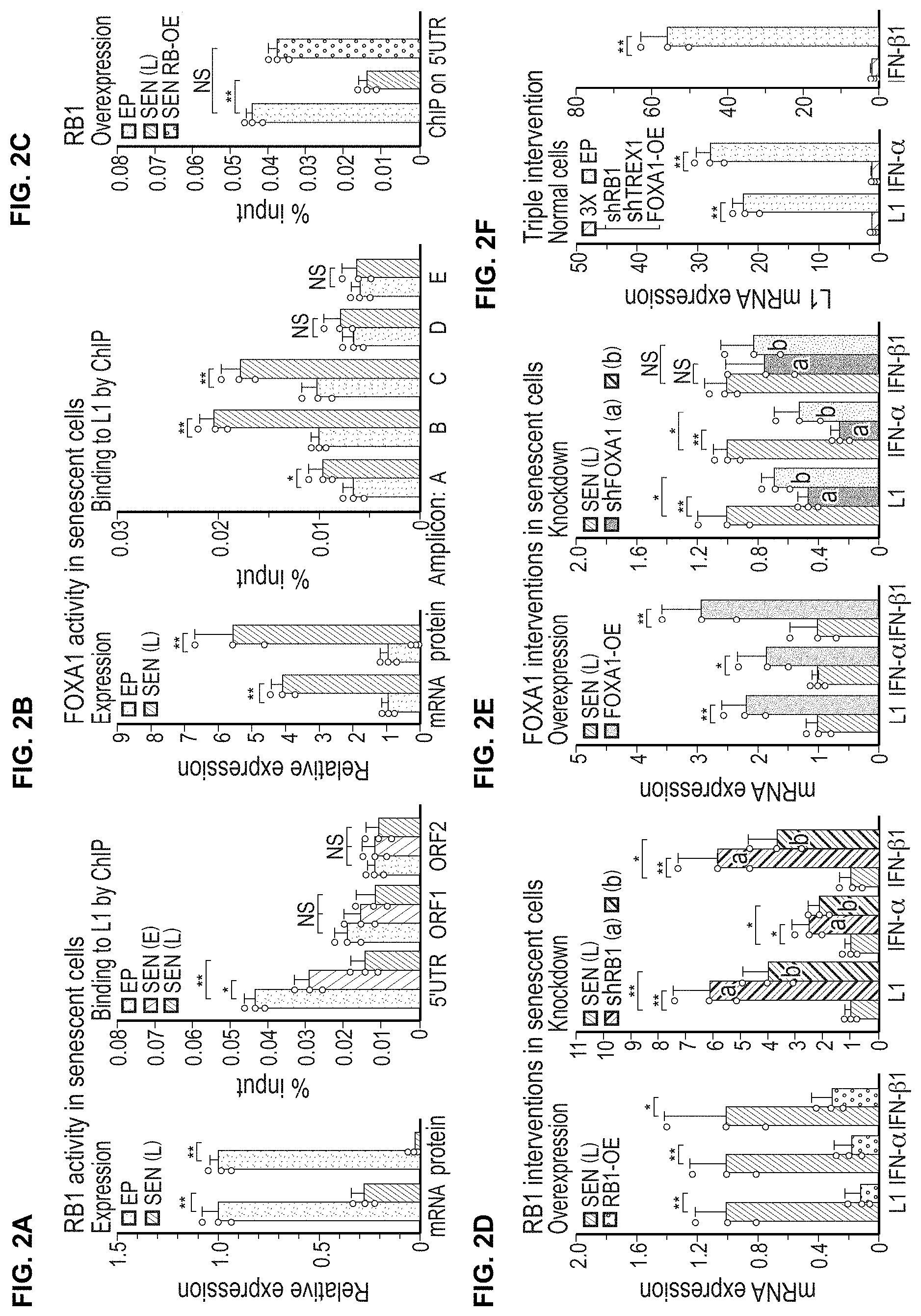 Patent US11793814 Figure 2 – Compositions and methods for treating, preventing or reversing age associated inflammation and disorders