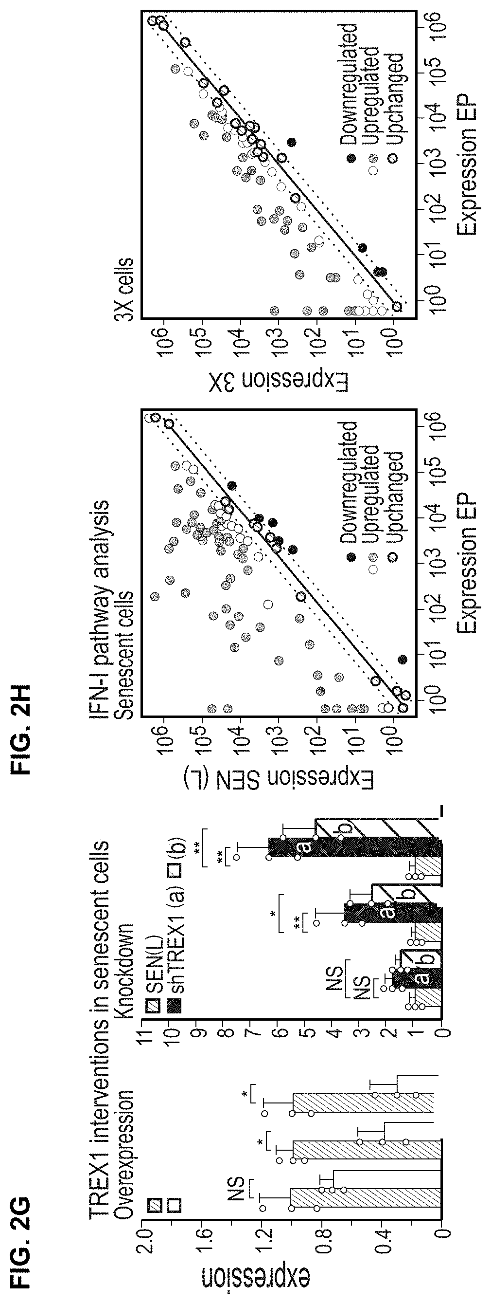 Patent US11793814 Figure 3 – Compositions and methods for treating, preventing or reversing age associated inflammation and disorders
