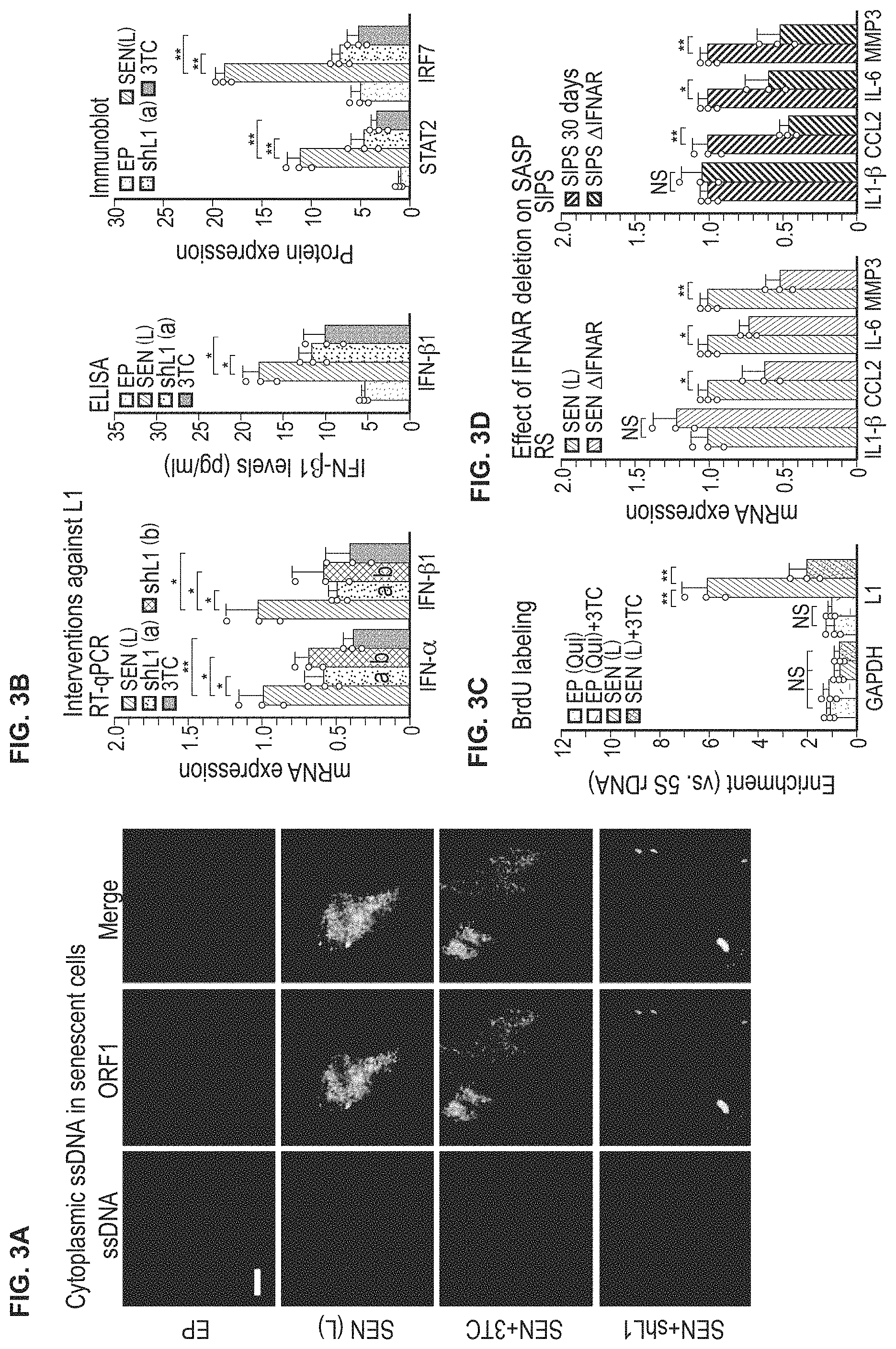 Patent US11793814 Figure 4 – Compositions and methods for treating, preventing or reversing age associated inflammation and disorders