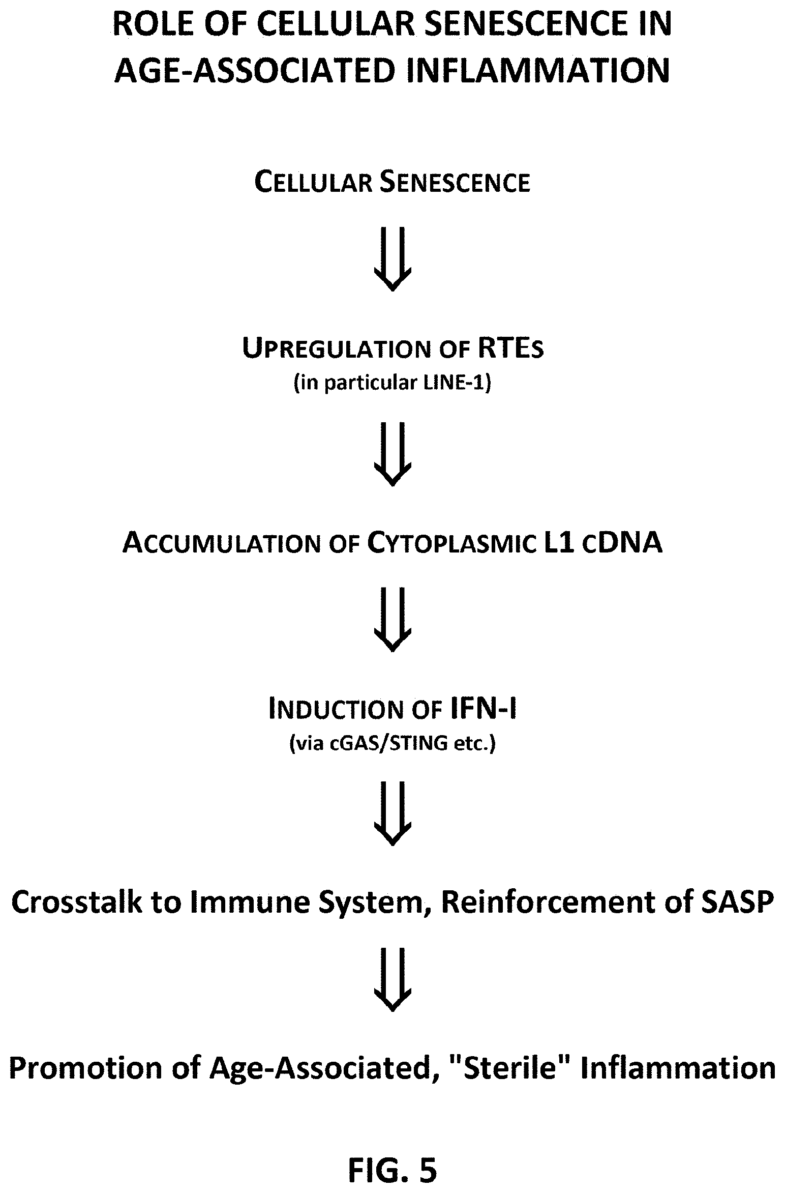 Patent US11793814 Figure 8 – Compositions and methods for treating, preventing or reversing age associated inflammation and disorders