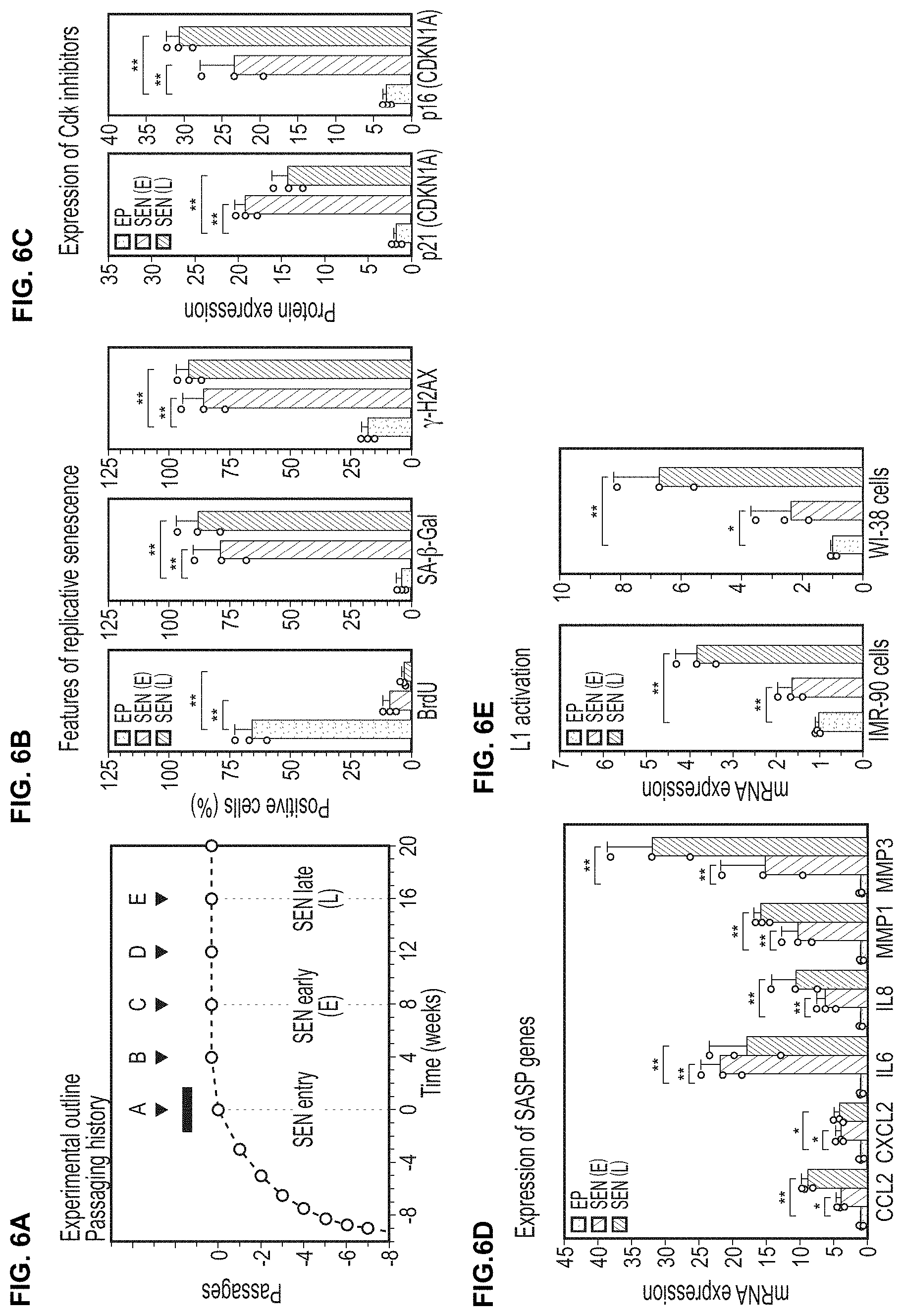Patent US11793814 Figure 9 – Compositions and methods for treating, preventing or reversing age associated inflammation and disorders