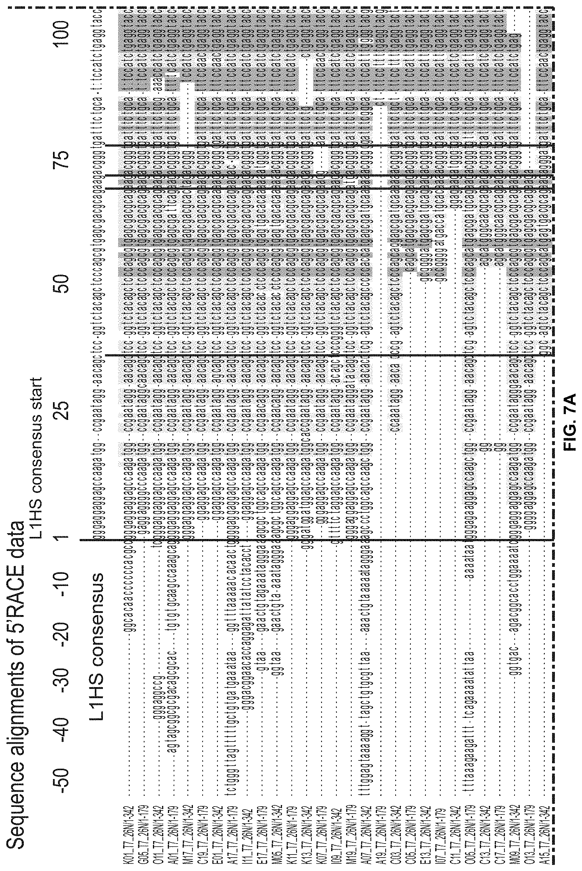 Patent US11793814 Figure 12 – Compositions and methods for treating, preventing or reversing age associated inflammation and disorders